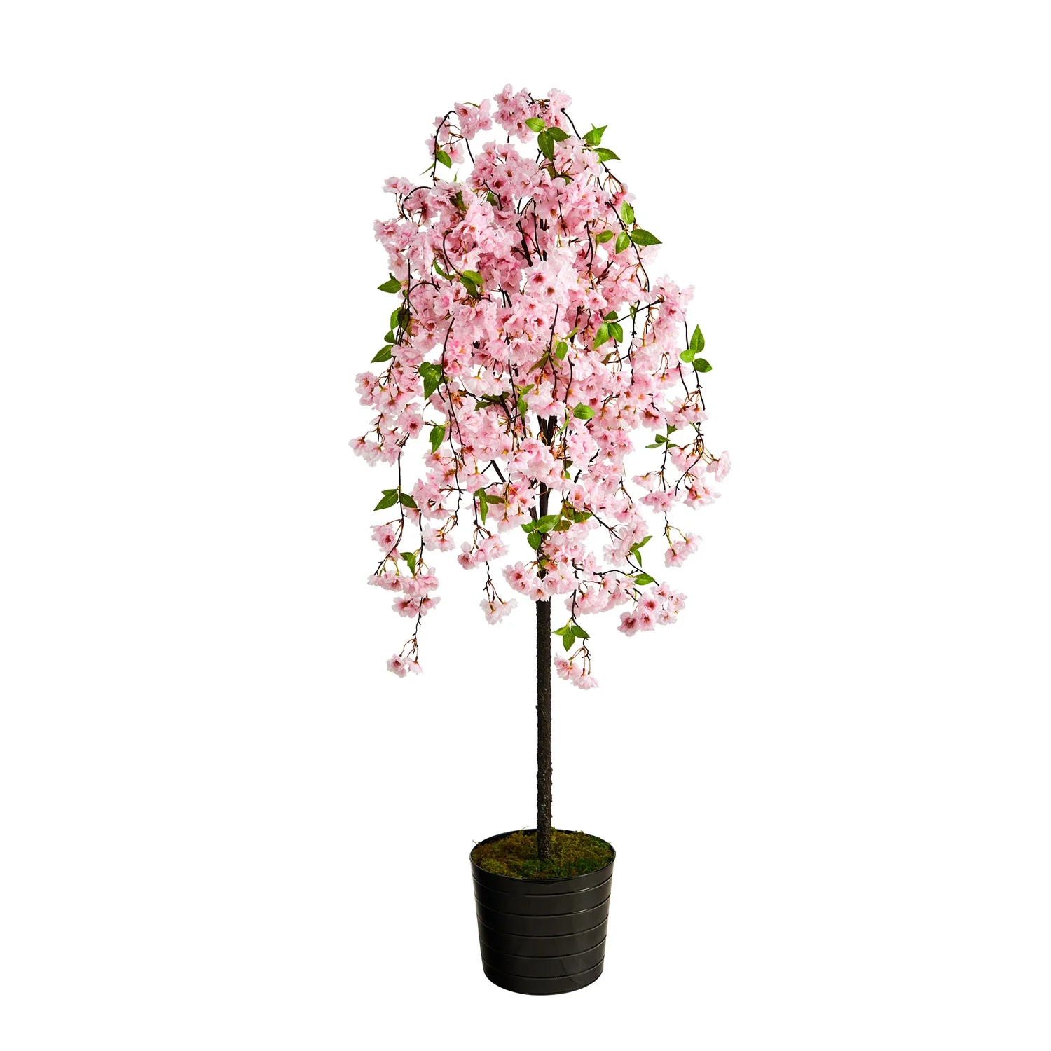 HomeStock Seaside Style 6Ft. Cherry Blossom Artificial Tree In Black Tin Planter
