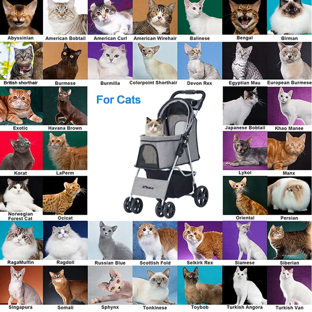 Pet Stroller 4 Wheel with Storage Basket and Cup Holder Foldable Lightweight Trolley for Small Medium Cats & Dogs-Gray