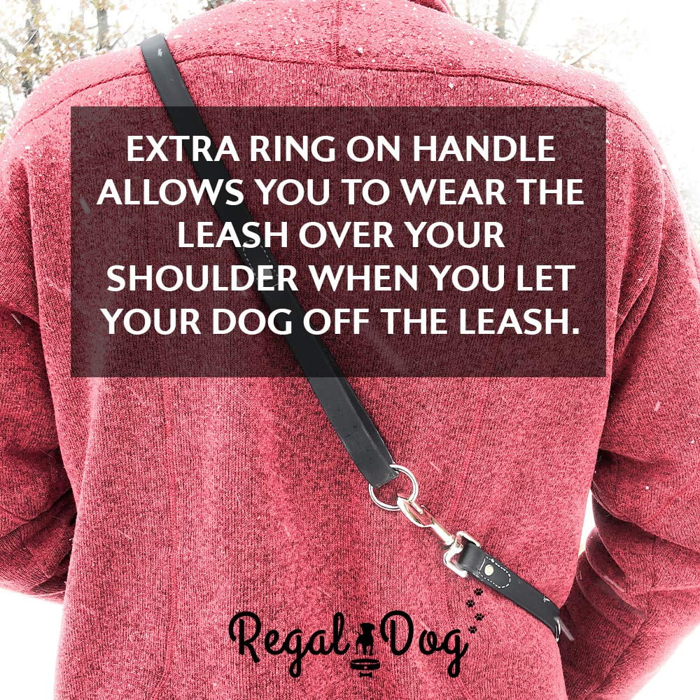 Regal Dog Products Waterproof Leash – 5 ft. Dog Leash with Easy to Use Collar Hook, Lightweight, and Odor Proof Training Pet Lead with Vinyl-Coated Webbing