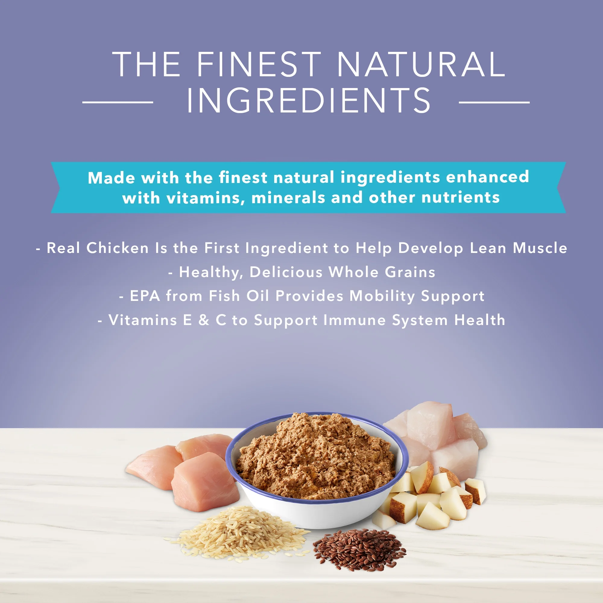 Blue Buffalo True Solutions Jolly Joints Natural Mobility Support Wet Dog Food, Chicken 12.5-oz Can