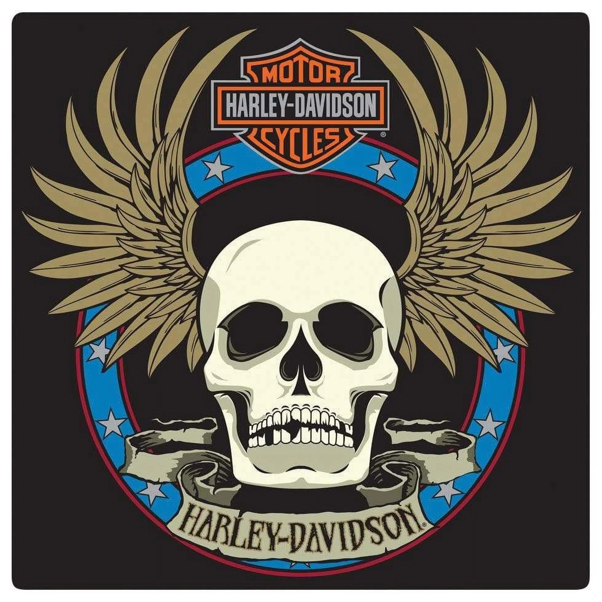 Harley-Davidson Embossed Spade Winged Skull Tin Sign, 14.5 x 14.5 inch 2010751, Harley Davidson