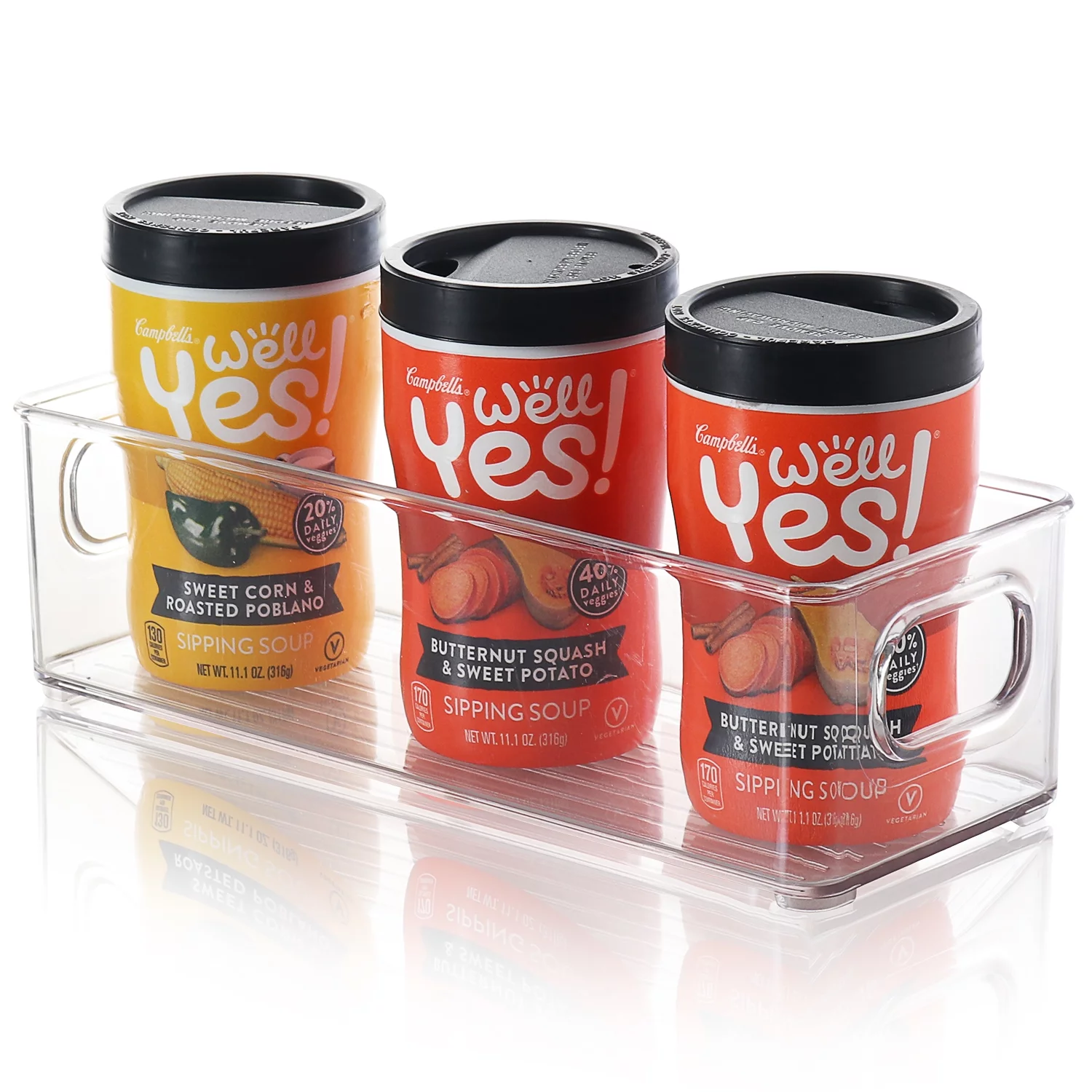 StorageBud Clear Storage Bins , 10X4X3