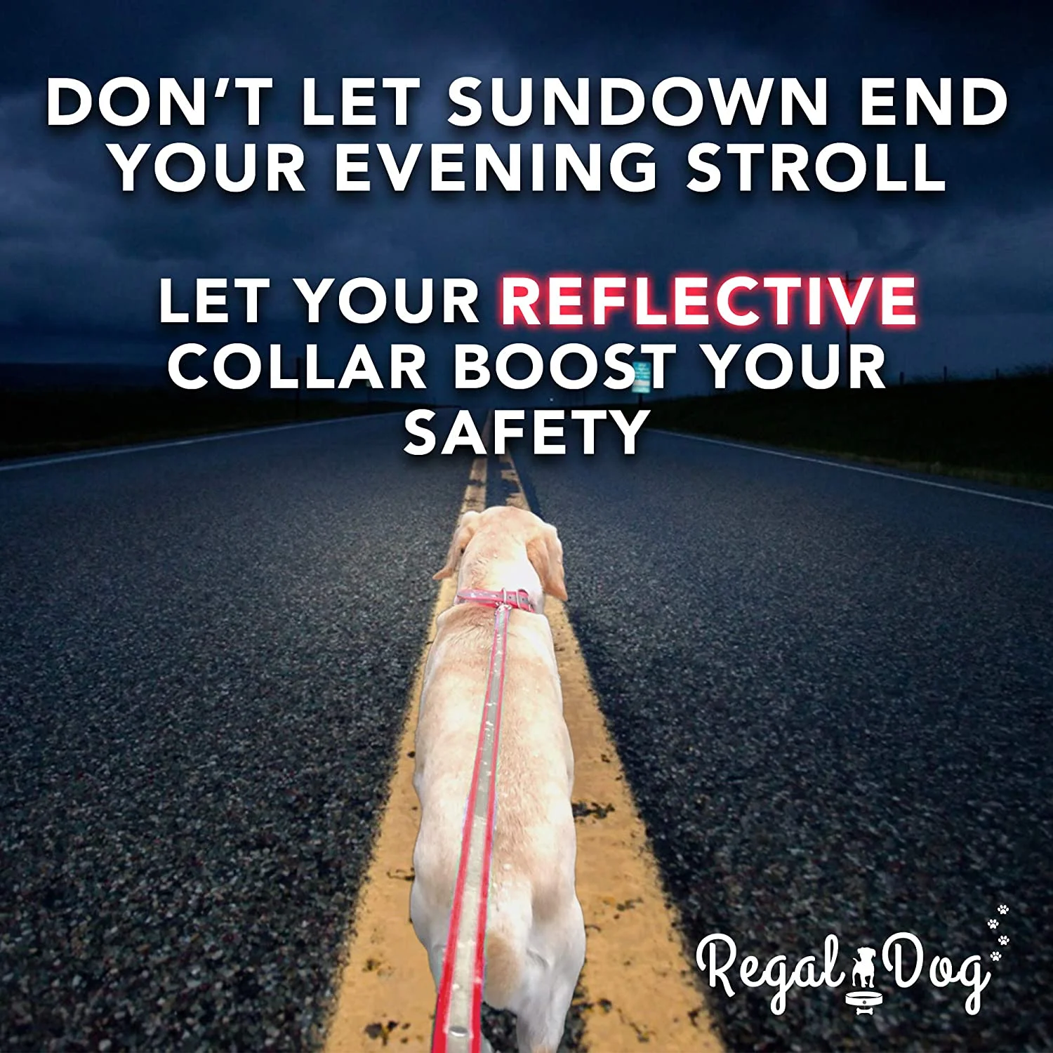 Regal Dog Products Reflective Dog Collar and Leash Set - Waterproof Biothane Dog Collar with Heavy Duty D Ring, Center Ring & 5'ft Leash for Training