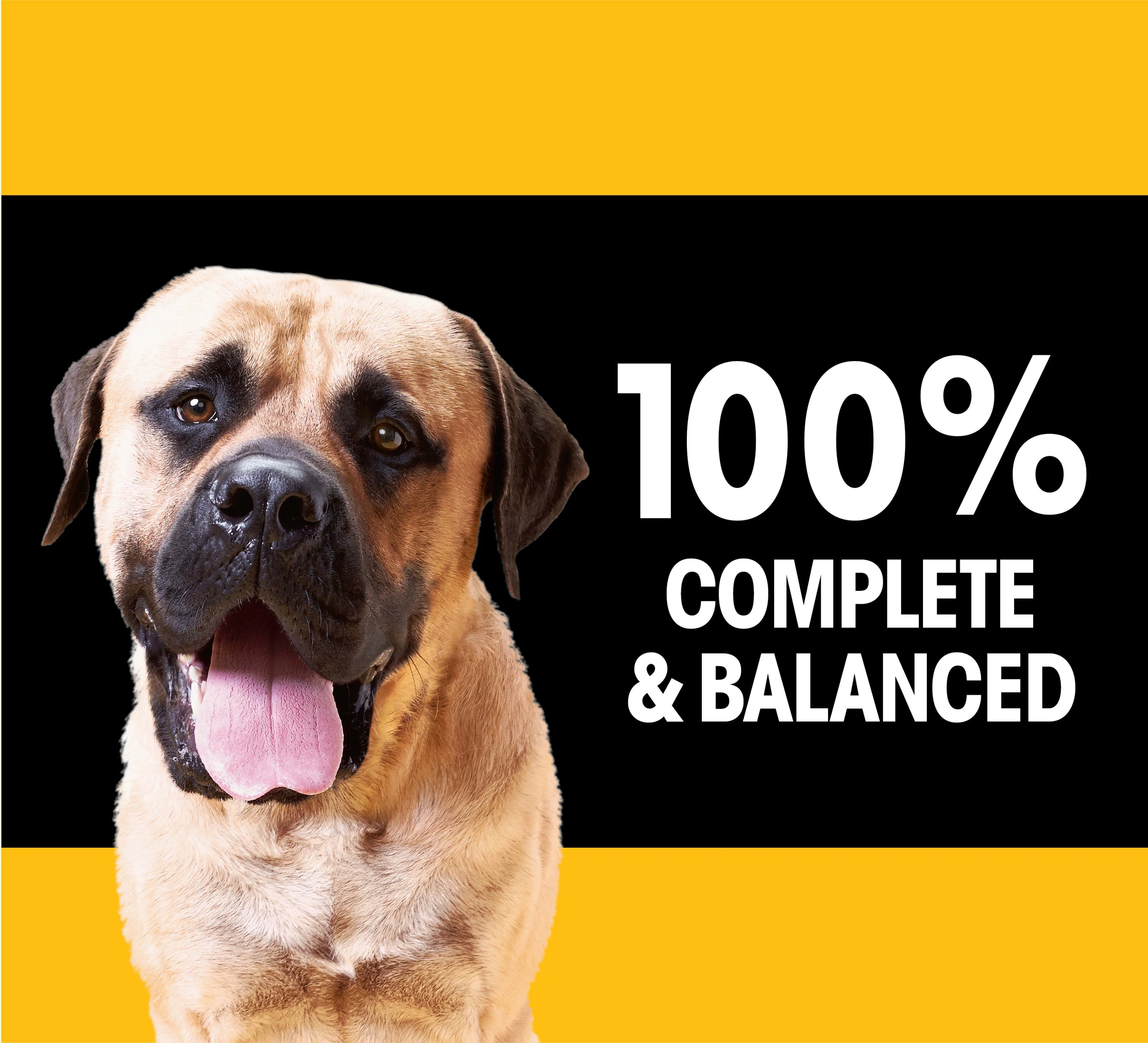 PEDIGREE For Big Dogs Adult Complete Nutrition Large Breed Dry Dog Food Roasted Chicken, Rice & Vegetable Flavor Dog Kibble, 40 lb. Bag