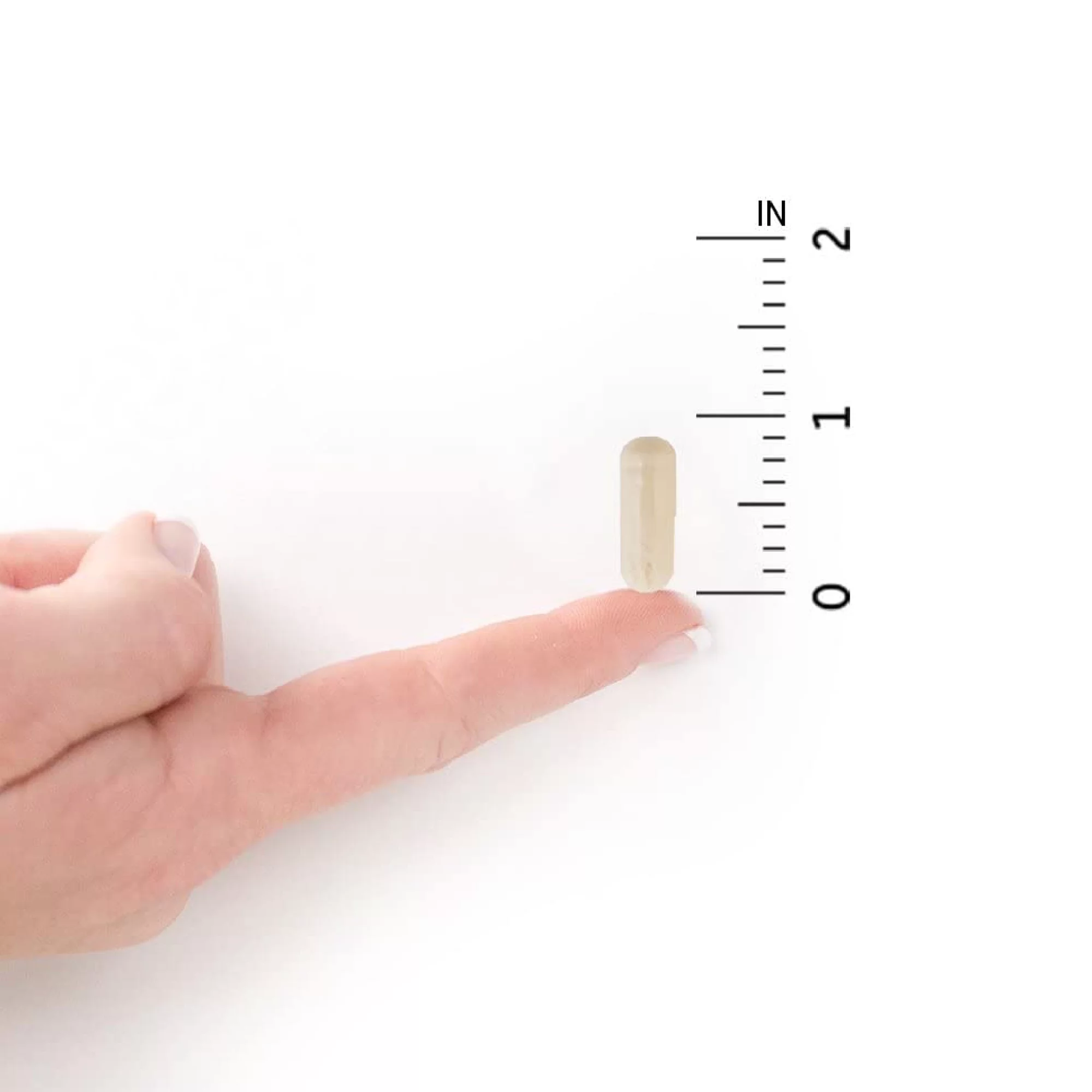 Garden of Life Dr. Formulated Digestive & Stress Probiotics | 30ct