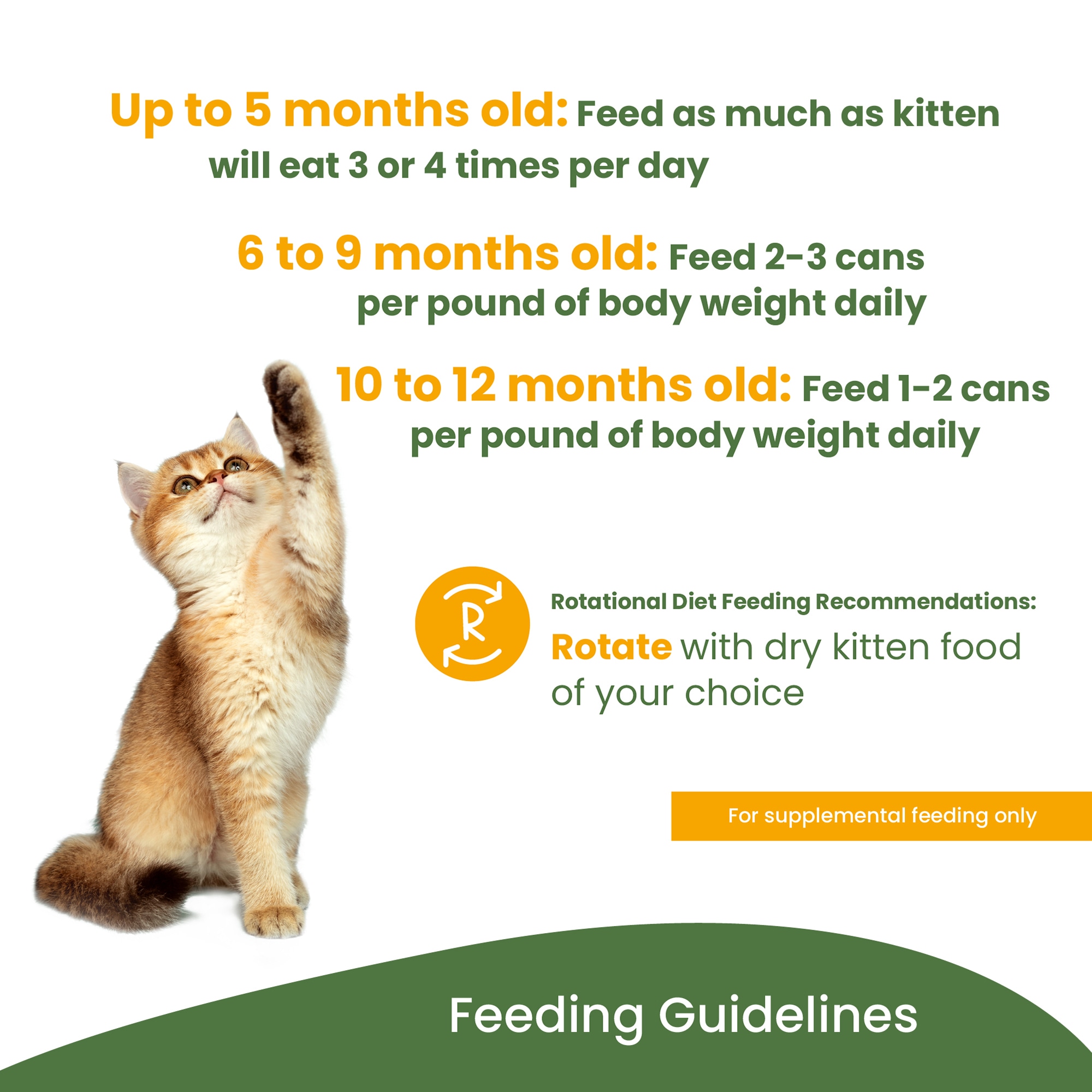 Almo Nature: HQS Natural Kitten 24 Pack: Whitefish With Mackerel In Broth - 2.47oz Cans, Supplemental, Wet Canned Cat Food, Mousse Texture Formula