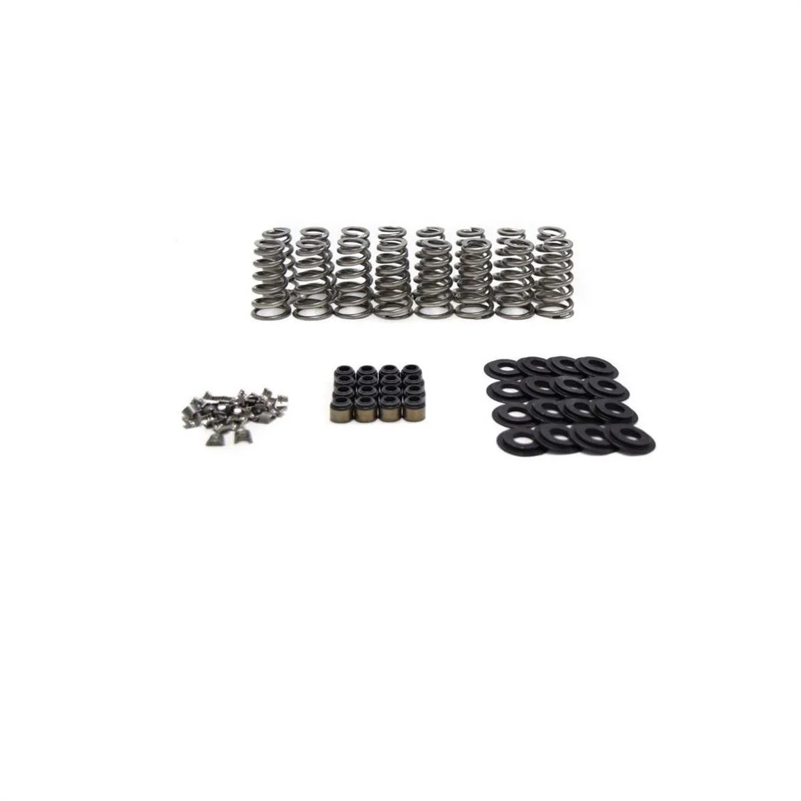 BTR SK013 Gen V LT1/L86  Conical Valve Spring Kit
