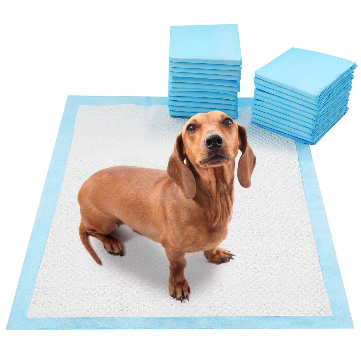 Pet Training Pads, iMountek Dog & Puppy Pads, M, 24x18 in, 50 Count,Disposable Dog Pee Pads