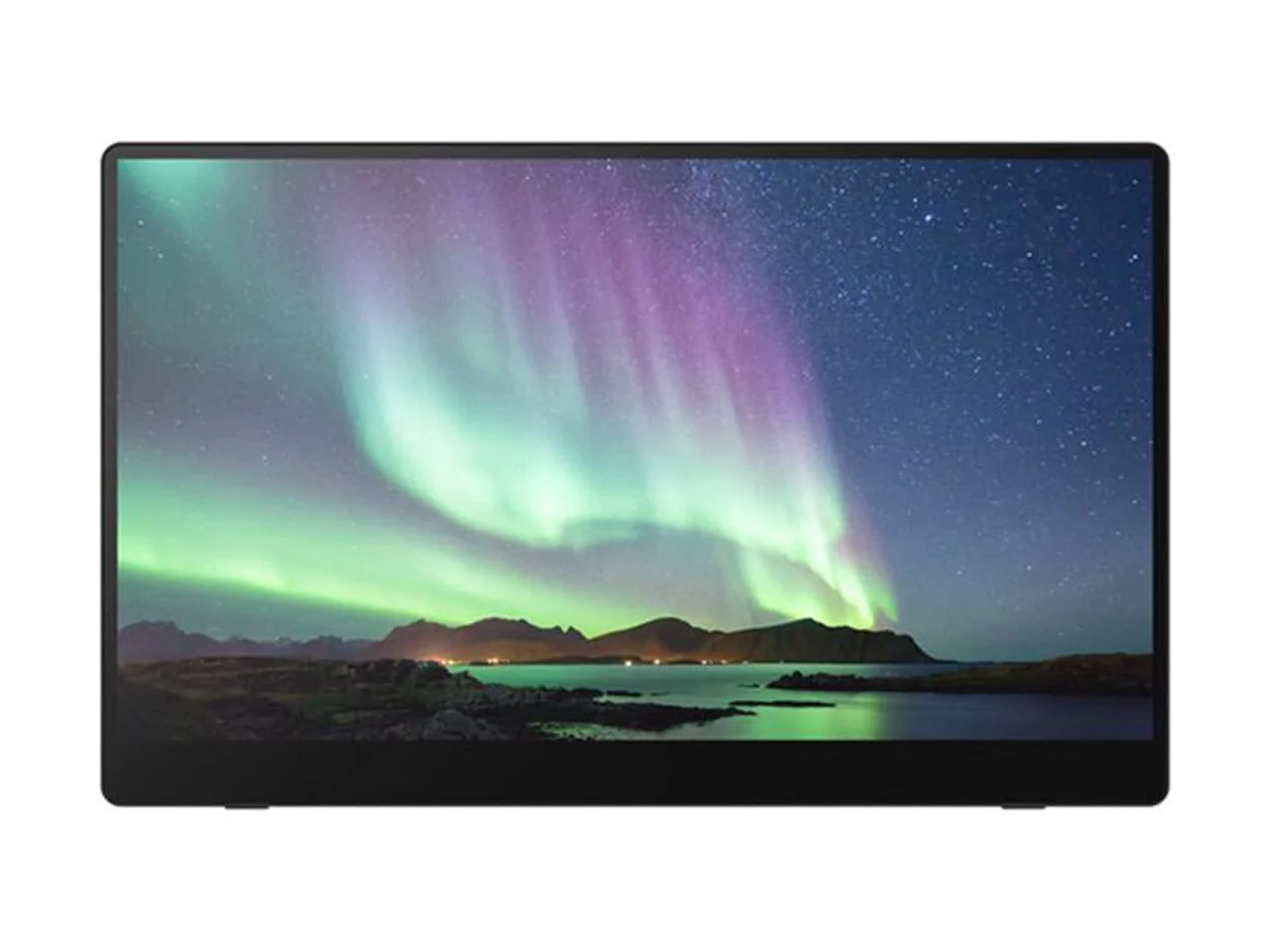 Ricoh 150 Portable 15.6