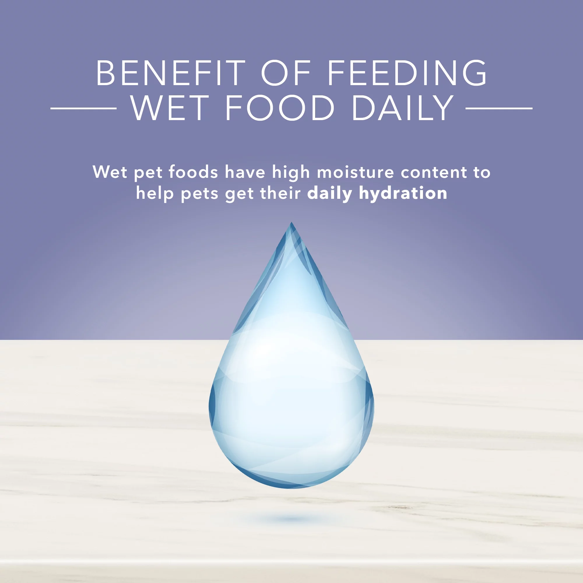 Blue Buffalo True Solutions Jolly Joints Natural Mobility Support Wet Dog Food, Chicken 12.5-oz Can