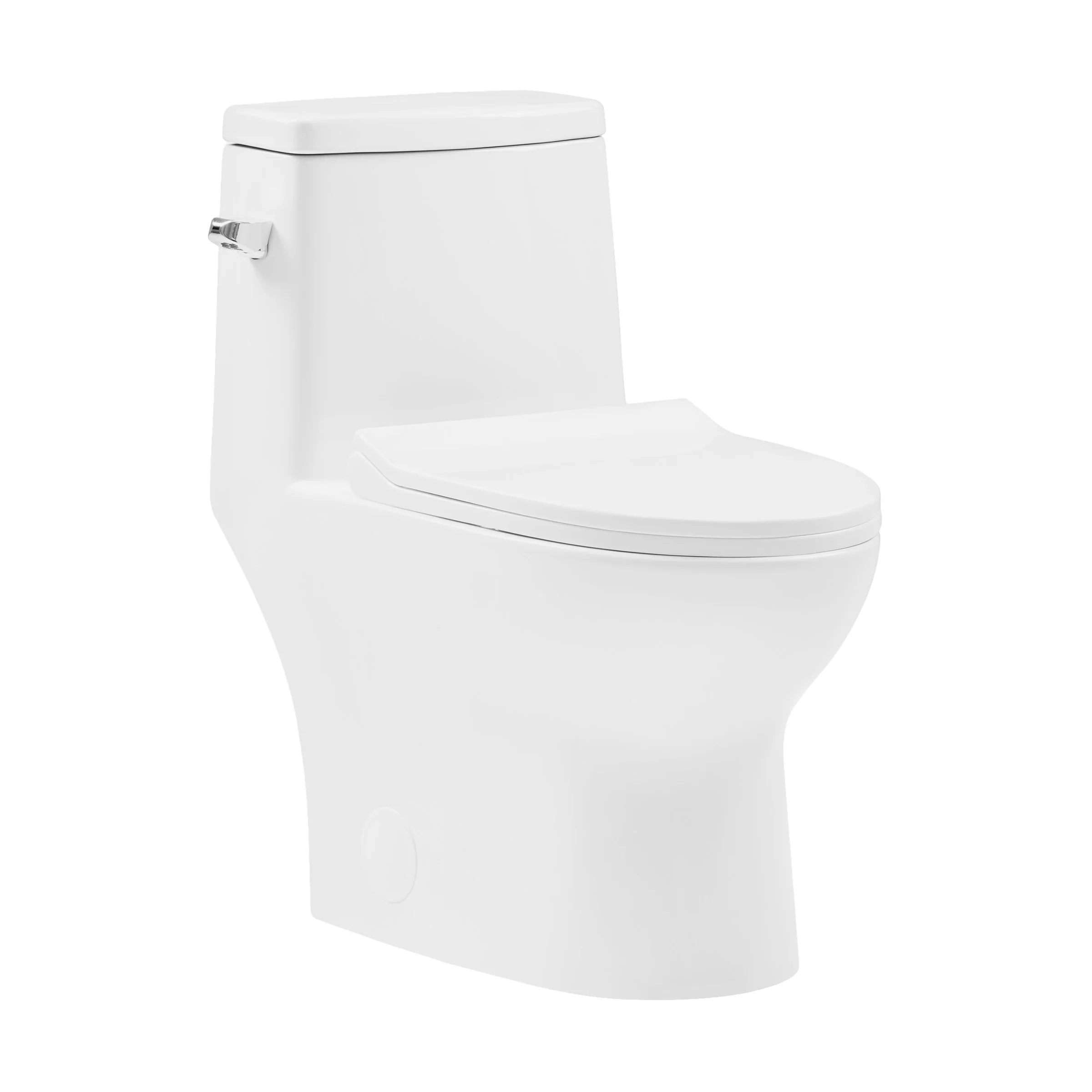 Dieppe One-Piece Elongated Toilet Left Side Flush, 10