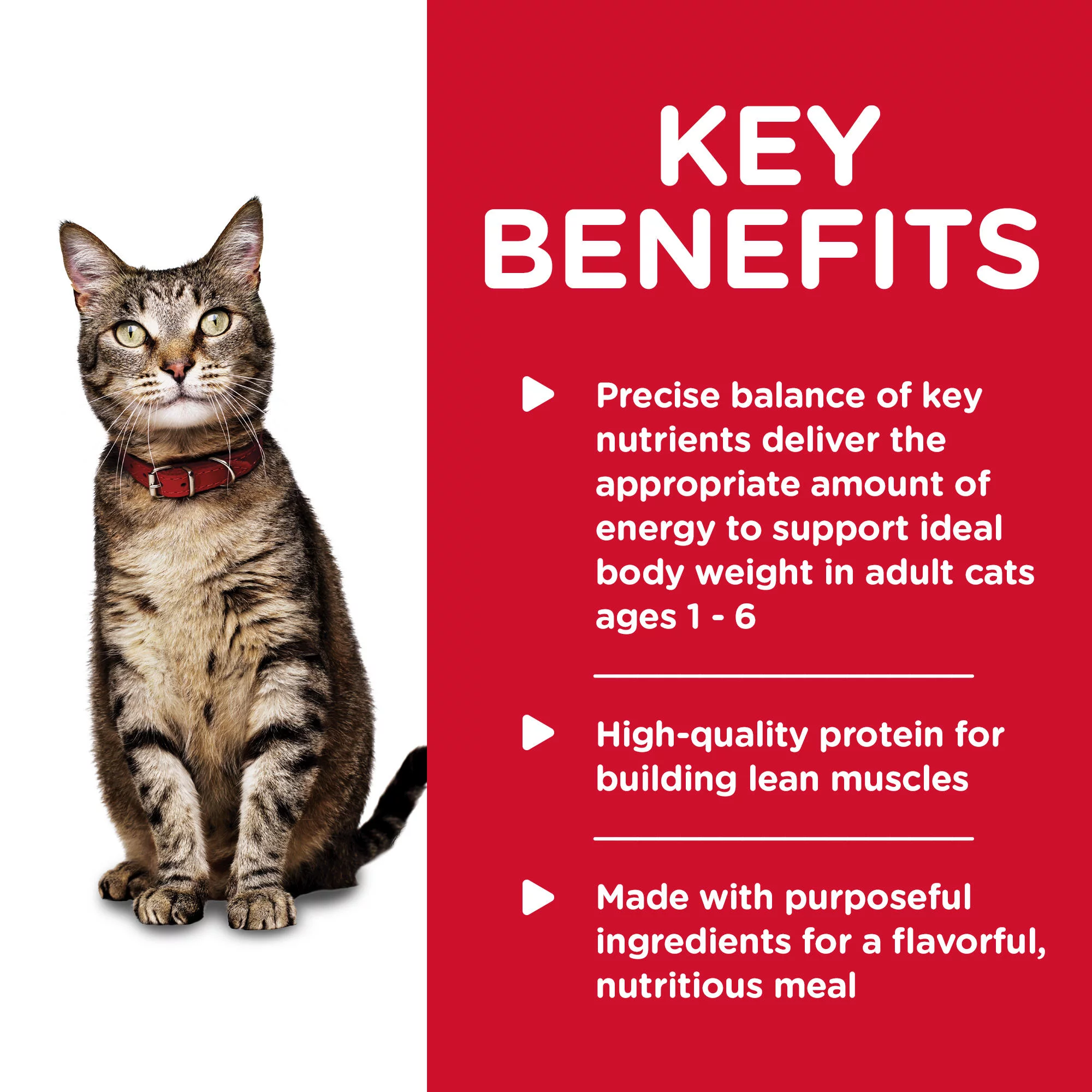 Hill's Science Diet Adult Canned Cat Food, Ocean Fish Entrée, 2.9 oz, 24 Pack wet cat food