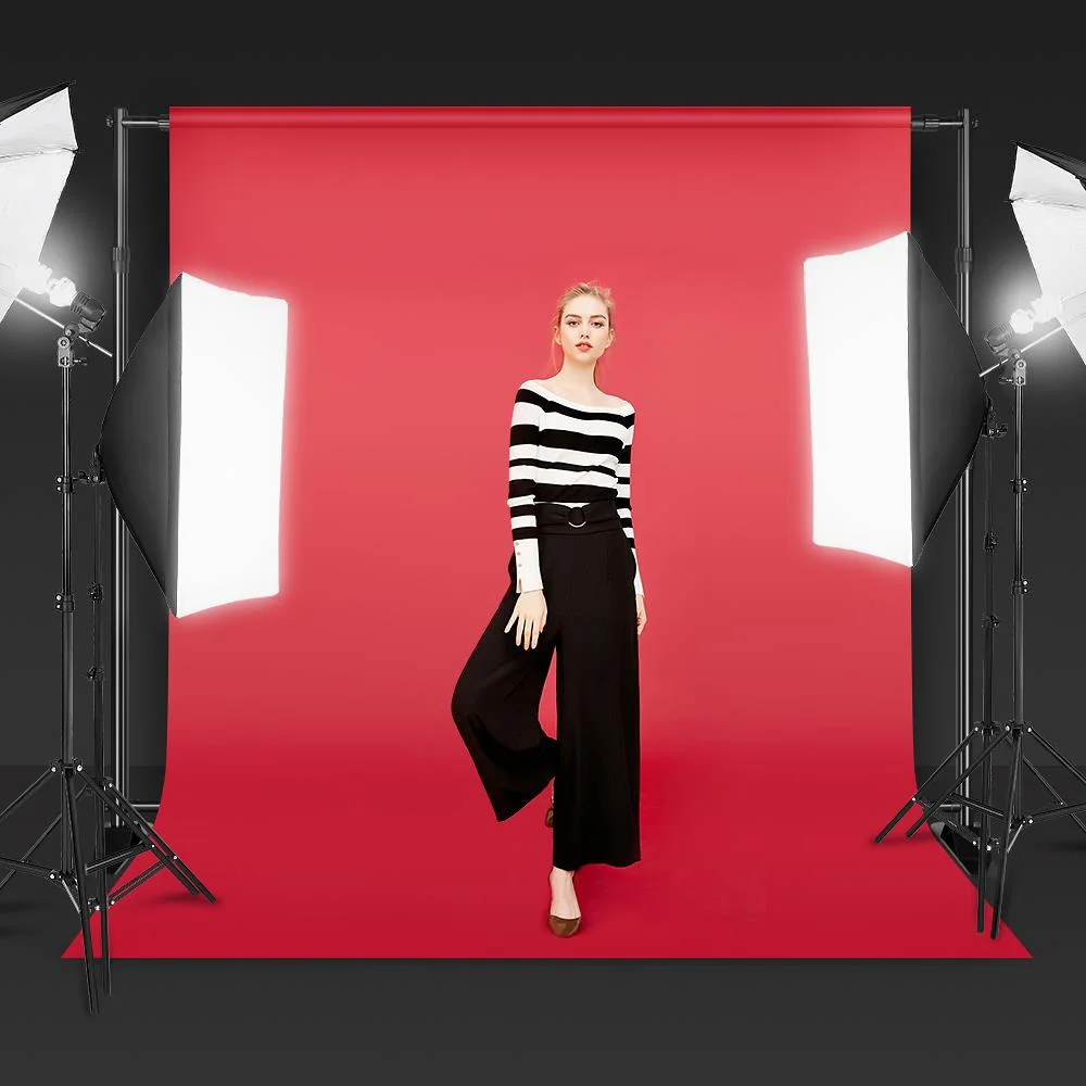 SalonMore Photo Studio Background Frame 10 x 8 Feet Heavy Duty Background Support Stand