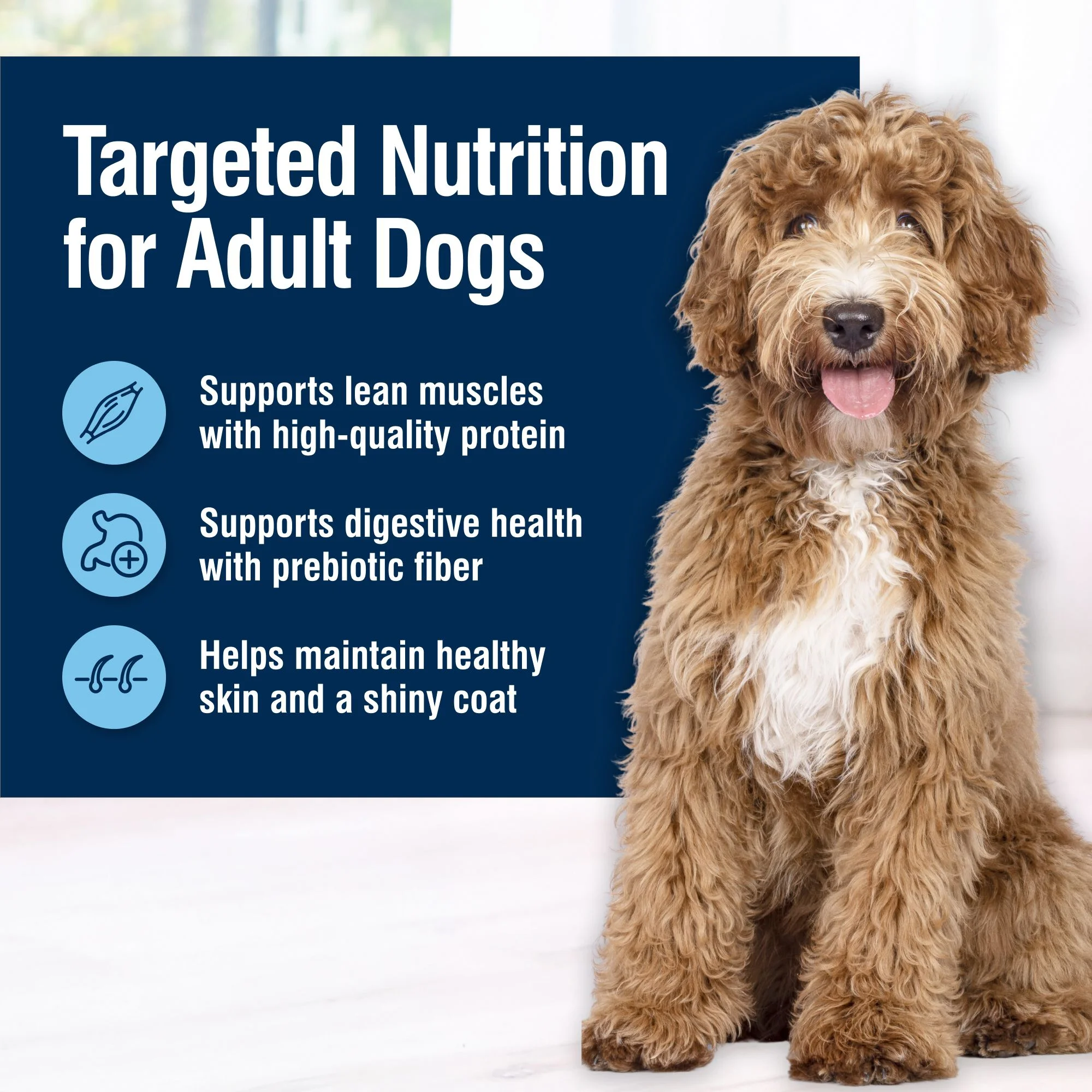 Blue Buffalo True Solutions Best Life Wet Dog Food for Medium-Size Dogs, Chicken, 12.5 oz.