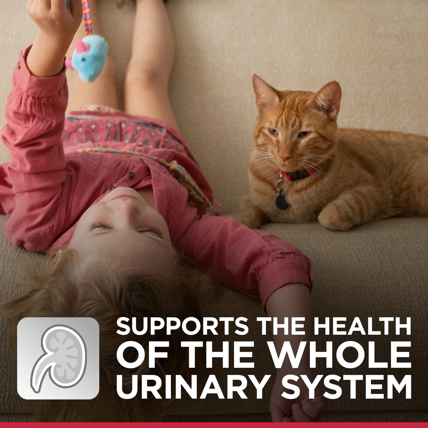 Hill's Science Diet Adult Urinary & Hairball Control Canned Cat Food, Savory Chicken, 2.9 oz, 24 Pack wet cat food