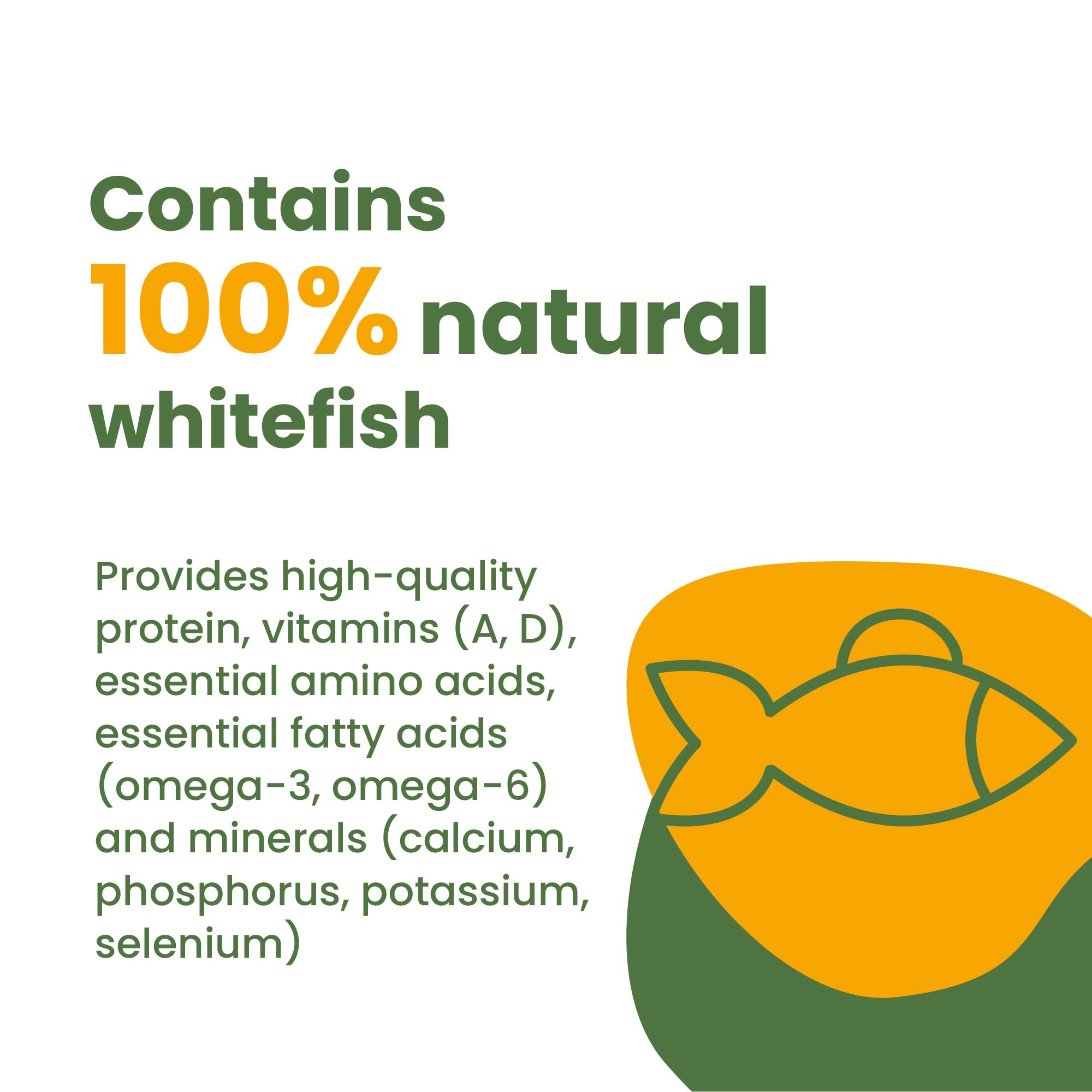 Almo Nature: HQS Natural Kitten 24 Pack: Whitefish With Mackerel In Broth - 2.47oz Cans, Supplemental, Wet Canned Cat Food, Mousse Texture Formula