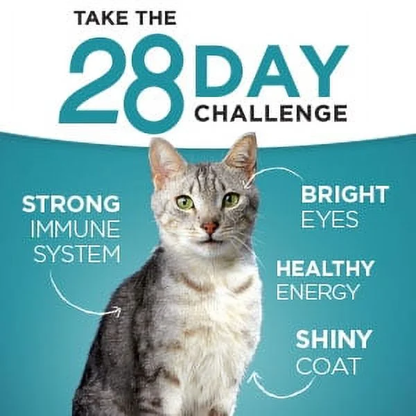 Purina ONE Pate Wet Cat Food, Natural Grain Free Soft Chicken, 3 oz Can