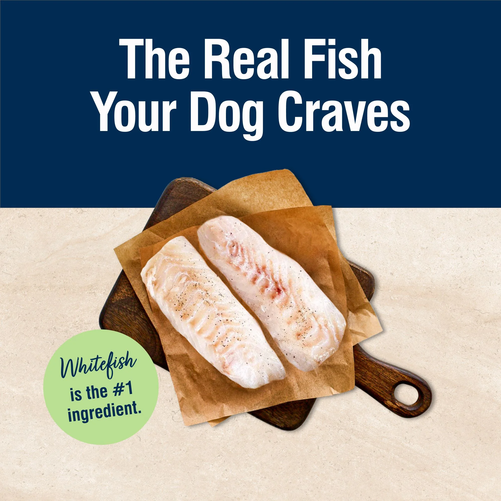 Blue Buffalo True Solutions Skin & Coat Care Wet Dog Food, Whitefish, 12.5 oz. Can