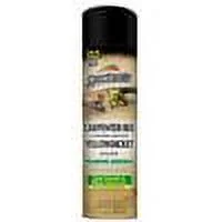 4 Pack Spectracide Carpenter Bee & Nesting Yellowjacket Killer Spray 16oz Each