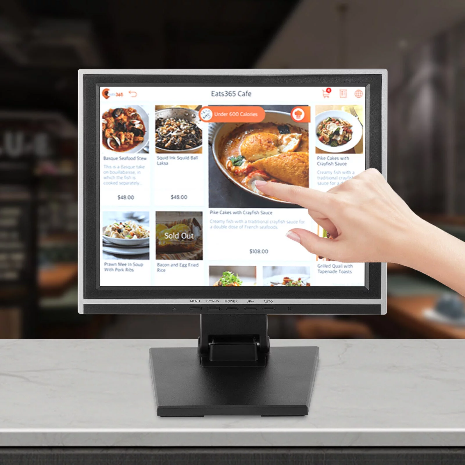 DENSET 15 in Touch Screen Monitor LCD VGA POS Touch Screen Kiosk Restaurant Retail POS System