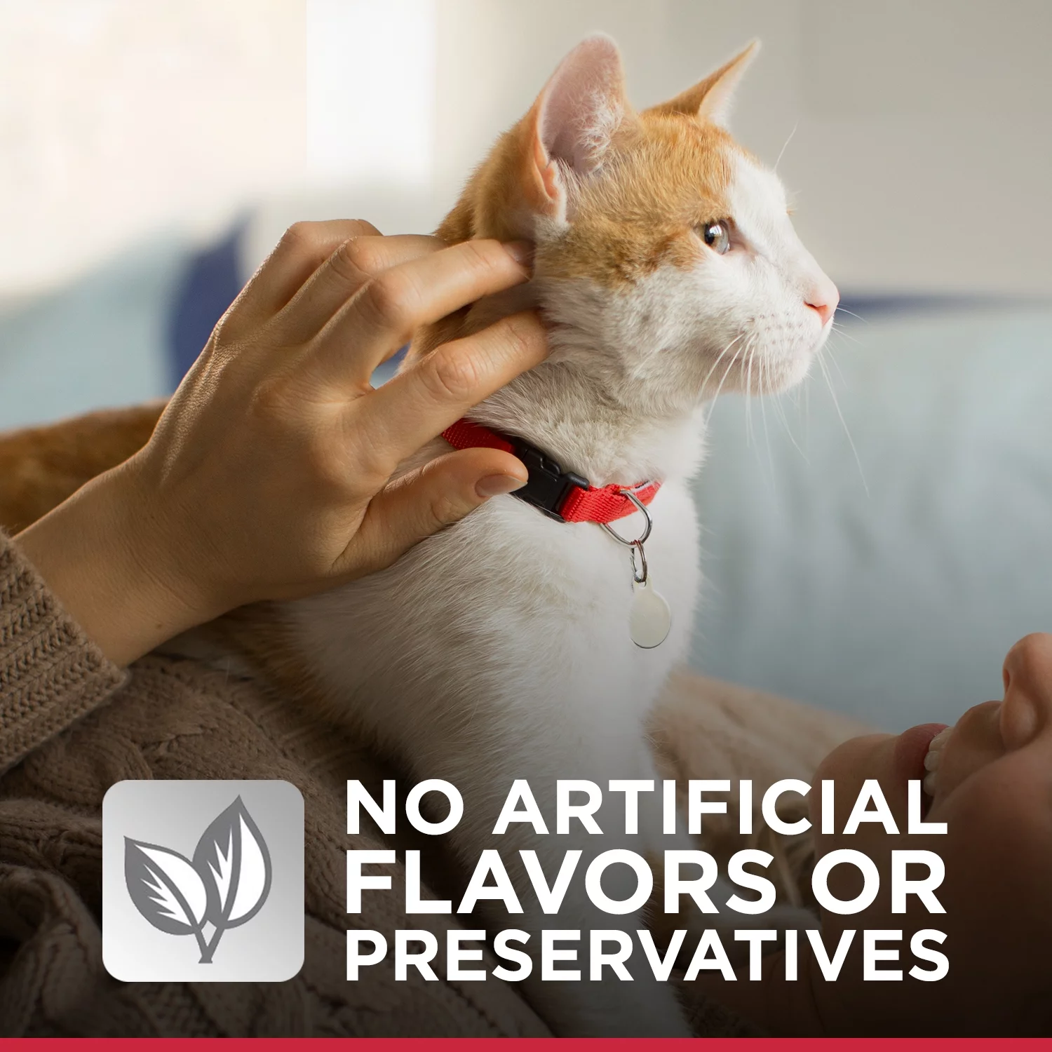 Hill's Science Diet Adult Urinary & Hairball Control Canned Cat Food, Savory Chicken, 2.9 oz, 24 Pack wet cat food