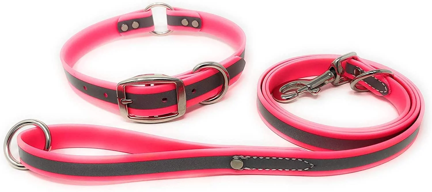 Regal Dog Products Reflective Dog Collar and Leash Set - Waterproof Biothane Dog Collar with Heavy Duty D Ring, Center Ring & 5'ft Leash for Training