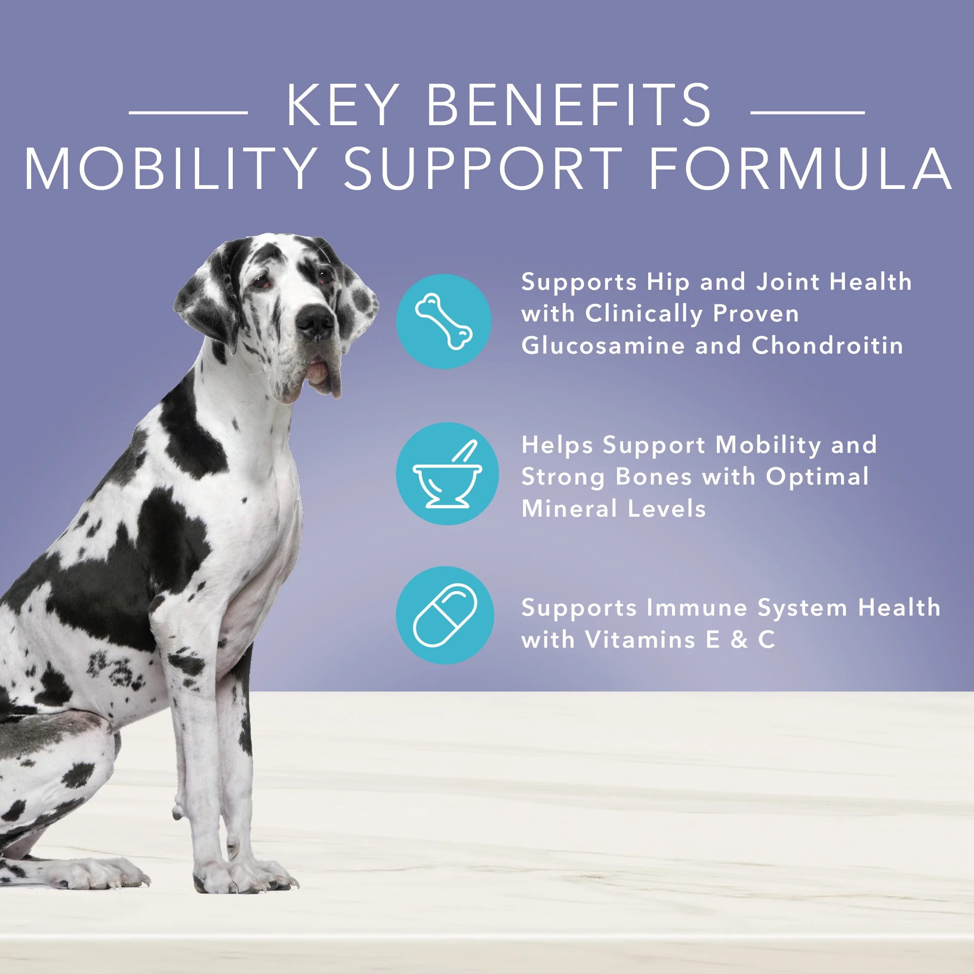 Blue Buffalo True Solutions Jolly Joints Natural Mobility Support Wet Dog Food, Chicken 12.5-oz Can