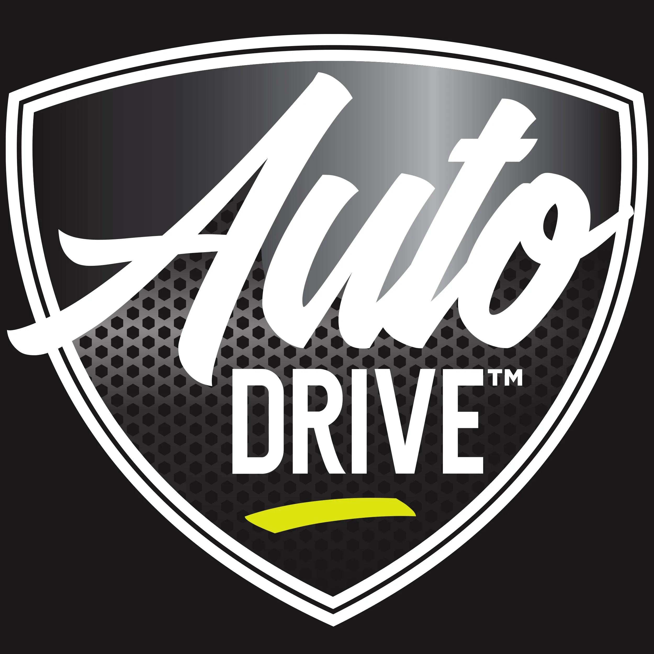 Auto Drive Water Resistant Rear Bench Seat Protector, Black