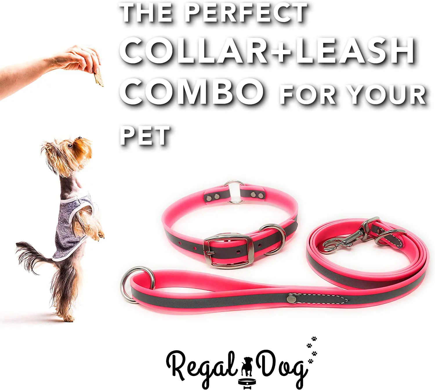 Regal Dog Products Reflective Dog Collar and Leash Set - Waterproof Biothane Dog Collar with Heavy Duty D Ring, Center Ring & 5'ft Leash for Training