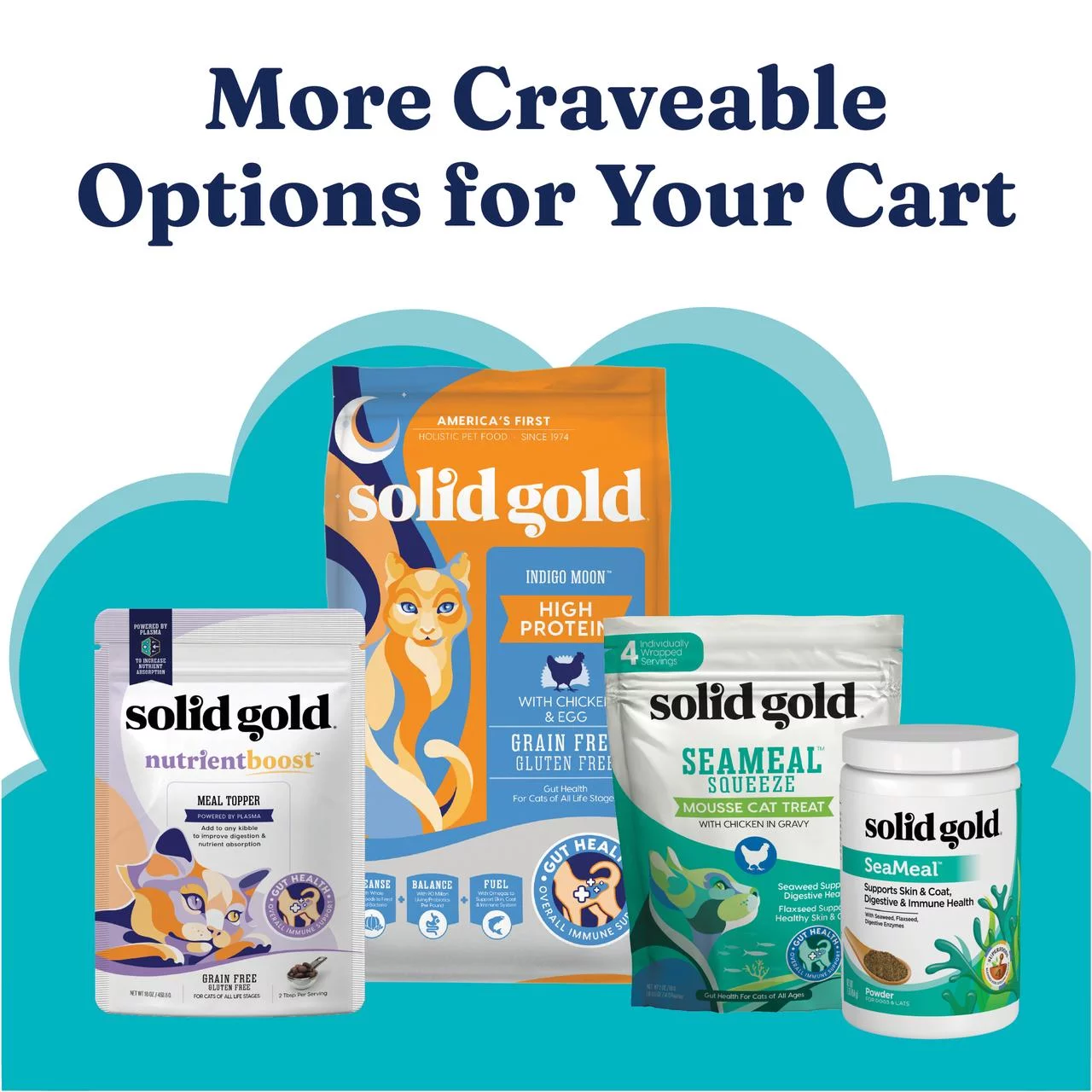 Solid Gold Wholesome Selects Wet Cat Canned Food, Real Turkey & Pumpkin for Healthy Digestion and Sensitive Stomach, 24 count