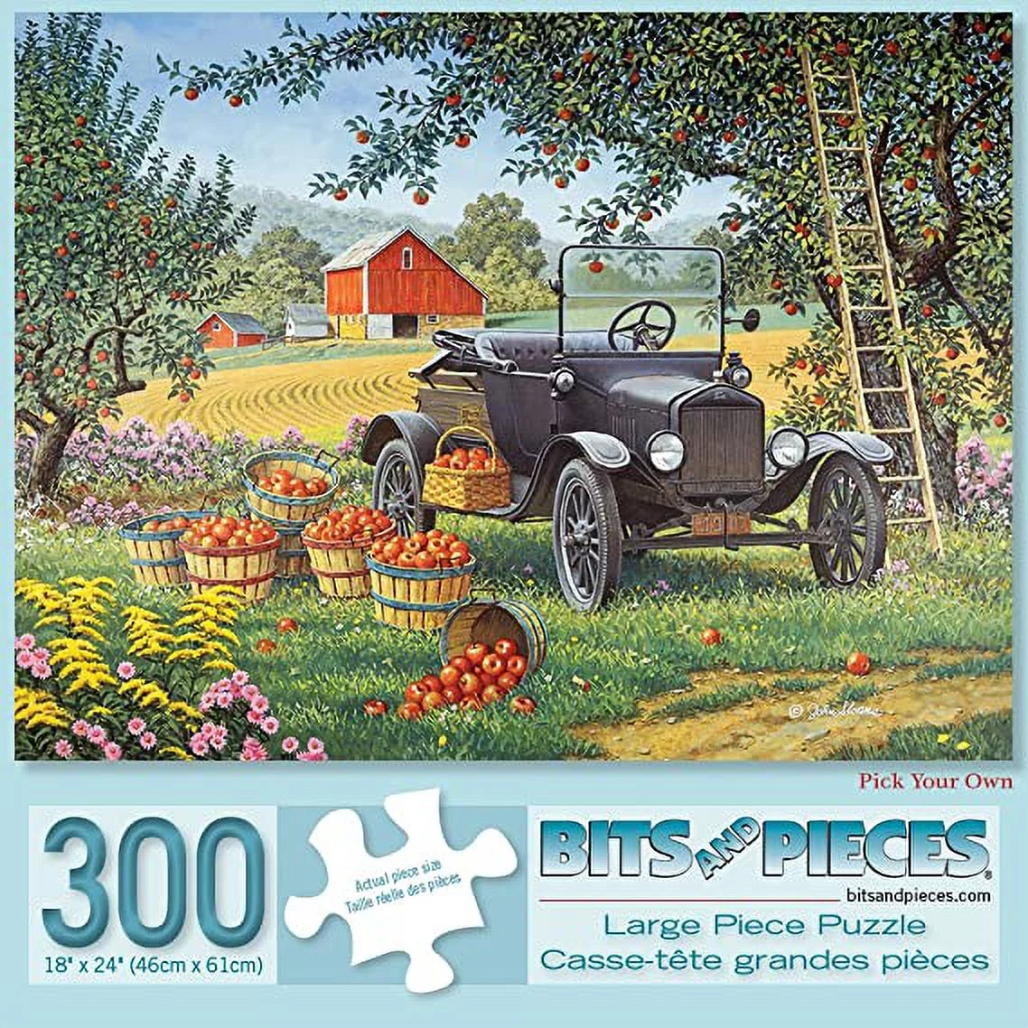 Bits and Pieces - Set of Three (3) 300 Piece Jigsaw Puzzles for Adults - A Perfect Pair, Pick Your Own, Stepping Stones - 300 pc Jigsaws by Artist John Sloane