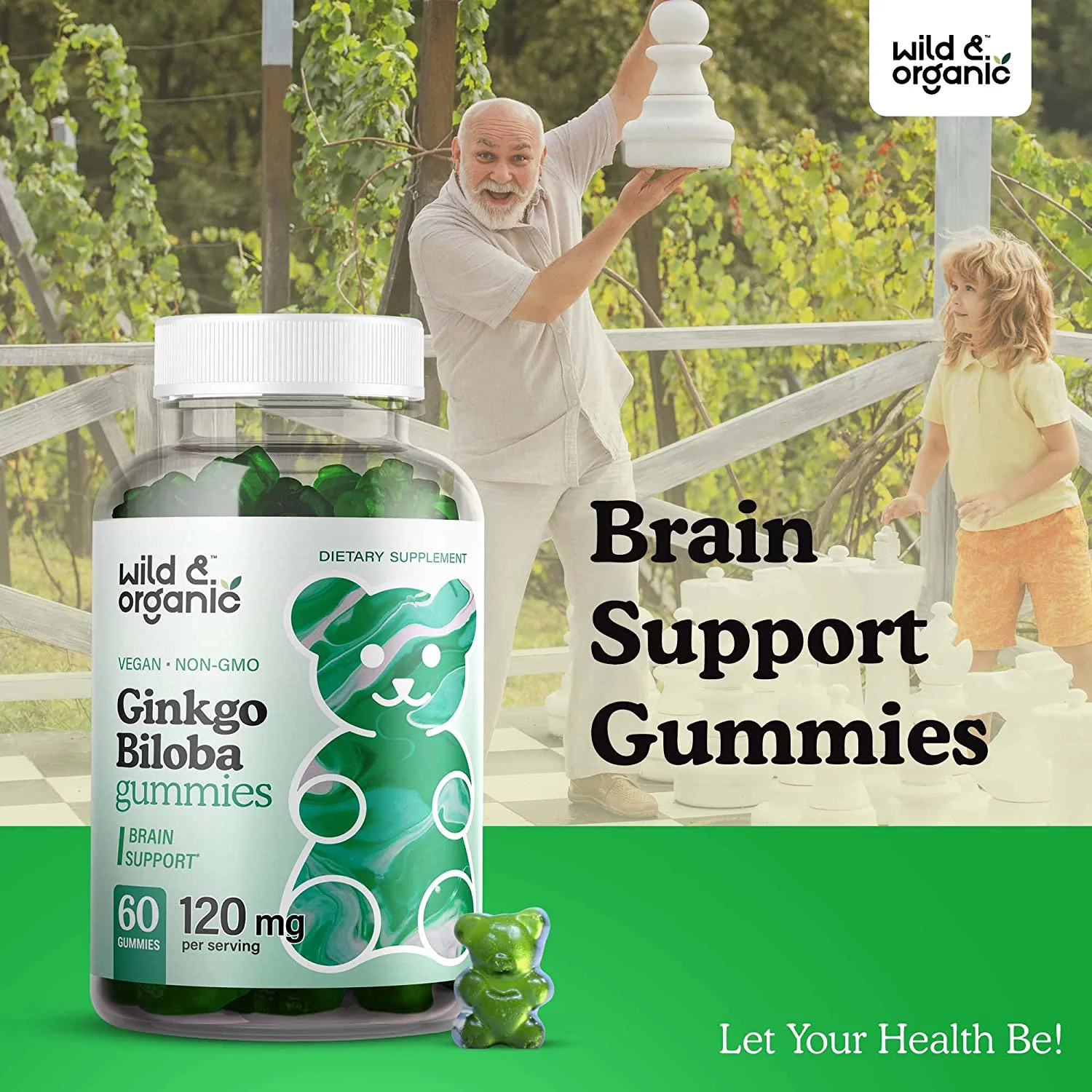 Wild & Organic Ginkgo Biloba Gummies - Brain & Energy Support Gummy, 60 Chews