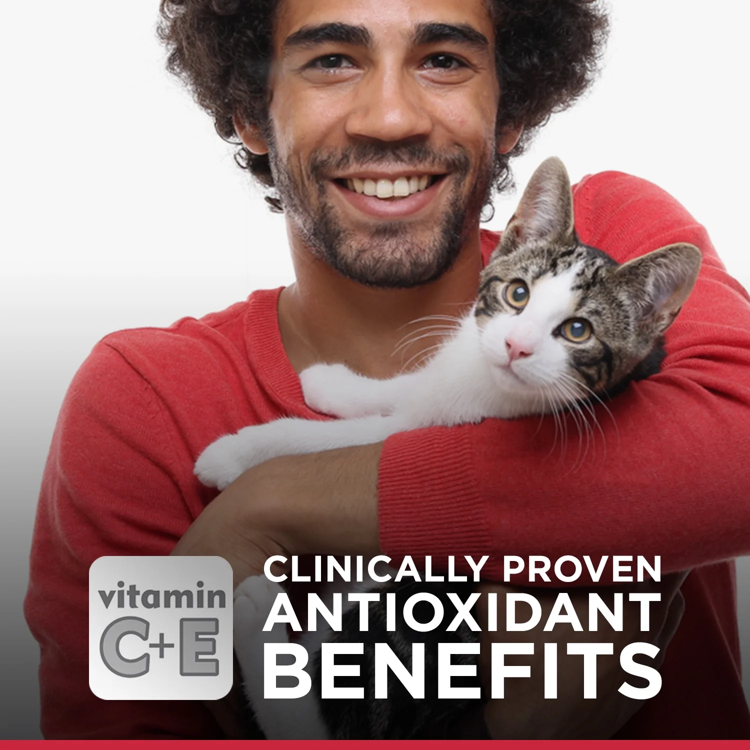 Hill's Science Diet Adult Urinary & Hairball Control Canned Cat Food, Savory Chicken, 2.9 oz, 24 Pack wet cat food