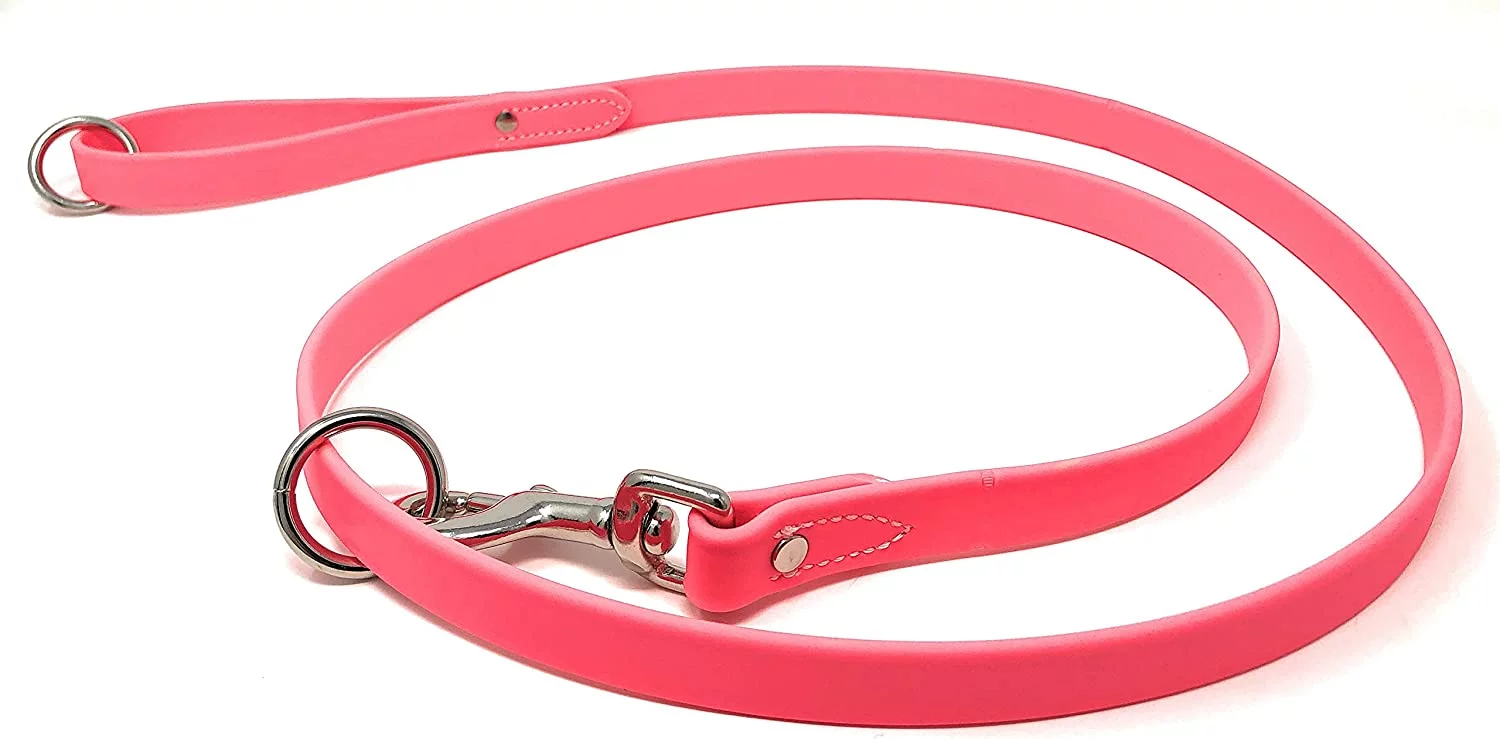 Regal Dog Products Waterproof Leash – 5 ft. Dog Leash with Easy to Use Collar Hook, Lightweight, and Odor Proof Training Pet Lead with Vinyl-Coated Webbing