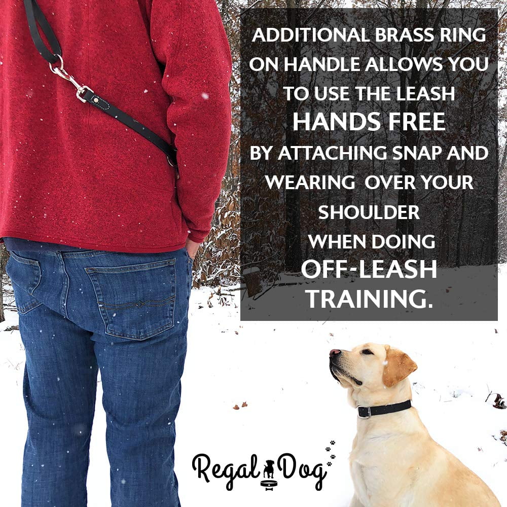 Regal Dog Products Waterproof Leash – 5 ft. Dog Leash with Easy to Use Collar Hook, Lightweight, and Odor Proof Training Pet Lead with Vinyl-Coated Webbing