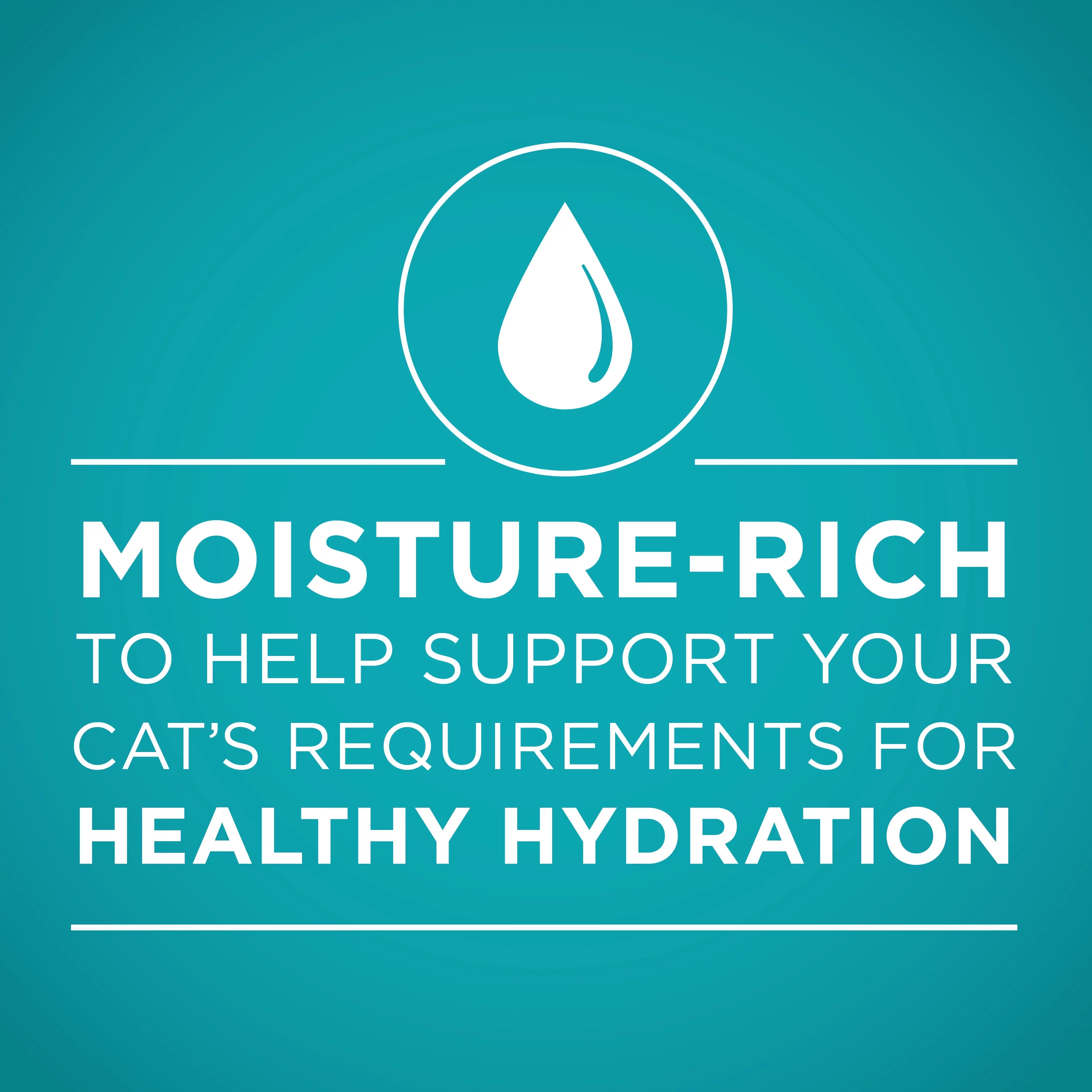 Purina ONE Pate Wet Cat Food, Natural Grain Free Soft Chicken, 3 oz Can