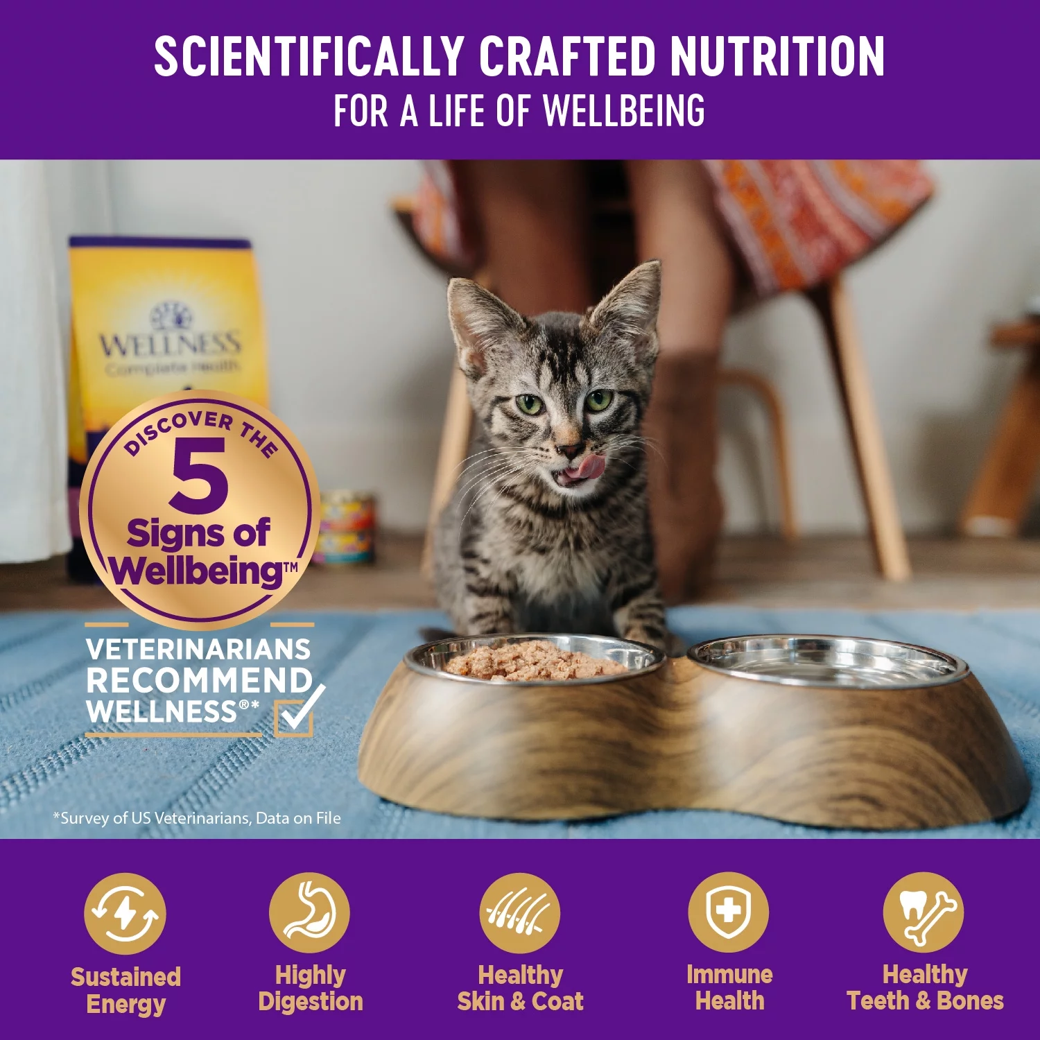 Wellness Complete Health Natural Grain Free Wet Canned Cat Food, Cubed Turkey Entree, 3-Ounce Can (Pack of 24)