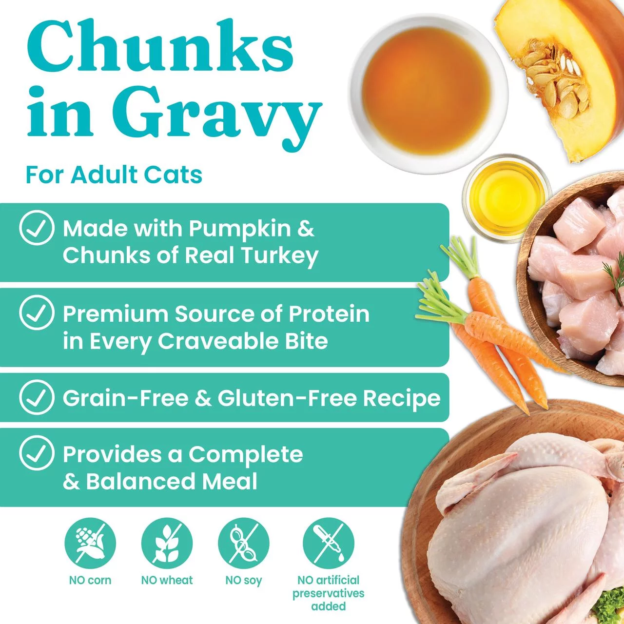 Solid Gold Wholesome Selects Wet Cat Canned Food, Real Turkey & Pumpkin for Healthy Digestion and Sensitive Stomach, 24 count