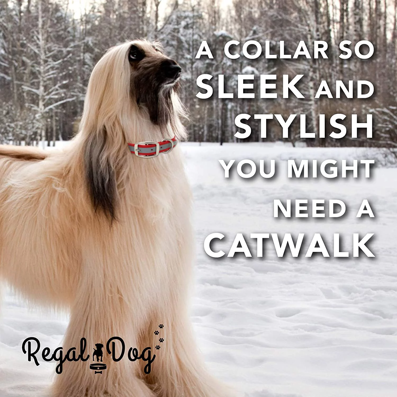 Regal Dog Products Reflective Dog Collar and Leash Set - Waterproof Biothane Dog Collar with Heavy Duty D Ring, Center Ring & 5'ft Leash for Training