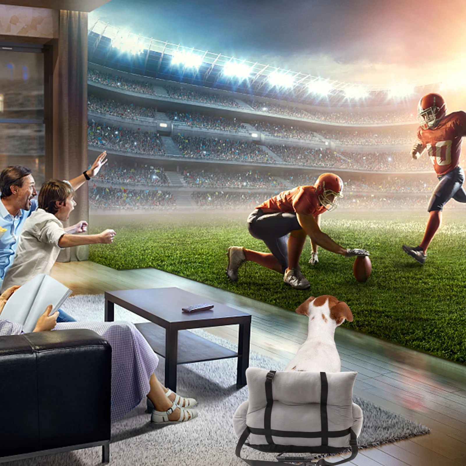 OWSOO Car Seat Dog Bed Multifunctional Design Pet Sofa for Cars Home and All Seasons - Sturdy Safety Belt Comfortable Material Storage Bags - Targeting Pet Owners