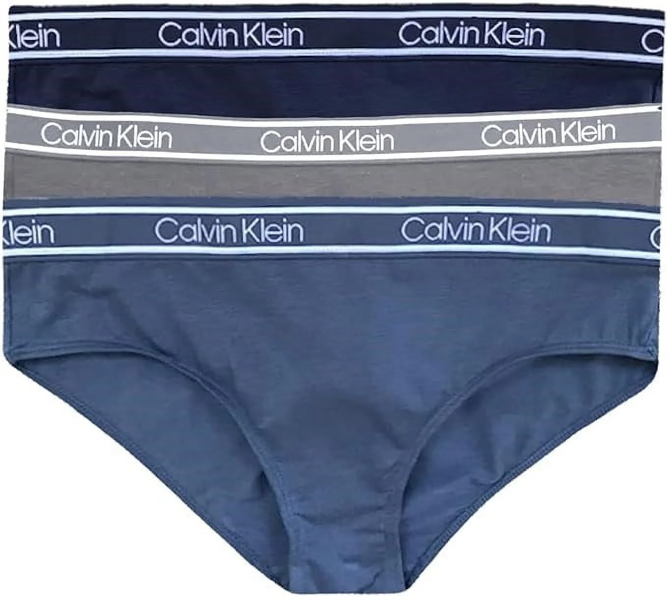 Calvin Klein Women's The Ultimate Comfort Cheeky Bikini Blue Grey Medium