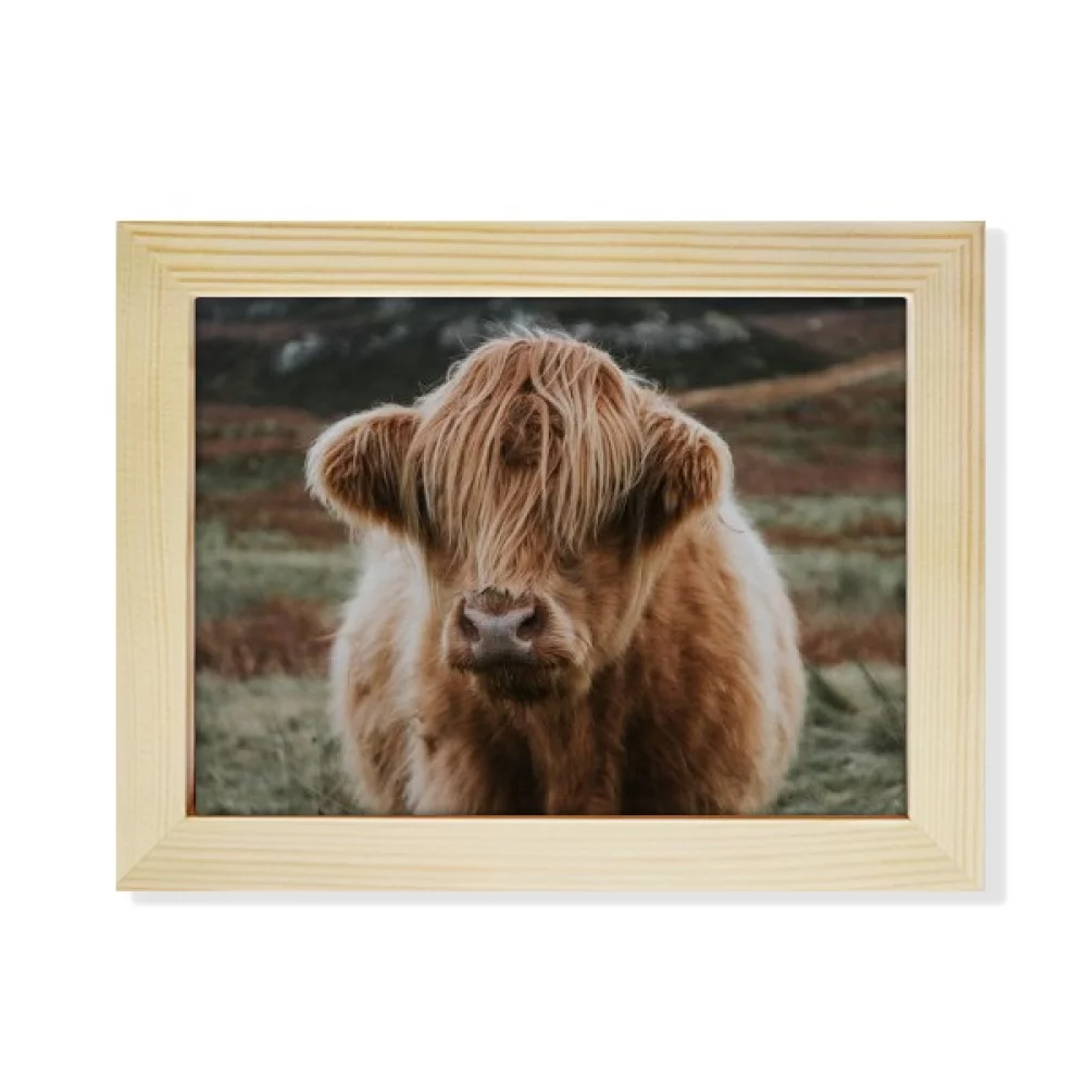m Animal Buffalo Desktop Photo Frame Picture Art Decoration Painting 6x8 inch