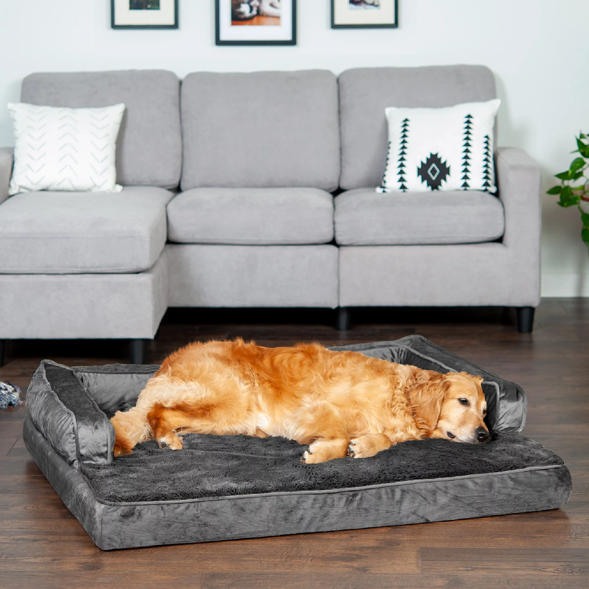 FurHaven Pet Products Plush & Velvet Comfy Couch Orthopedic Sofa-Style Pet Bed for Dogs & Cats - Dark Gray, Jumbo