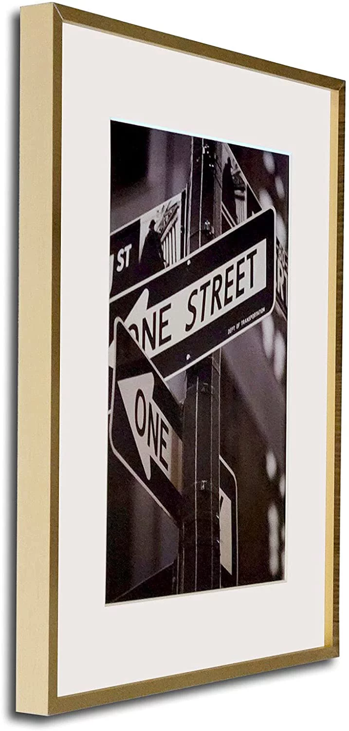 TheDisplayGuys Aluminum Metal 18x24 Picture Frame w. Tempered Glass matted to 12x18 (Gold) for Horizontal & Vertical Wall Hanging