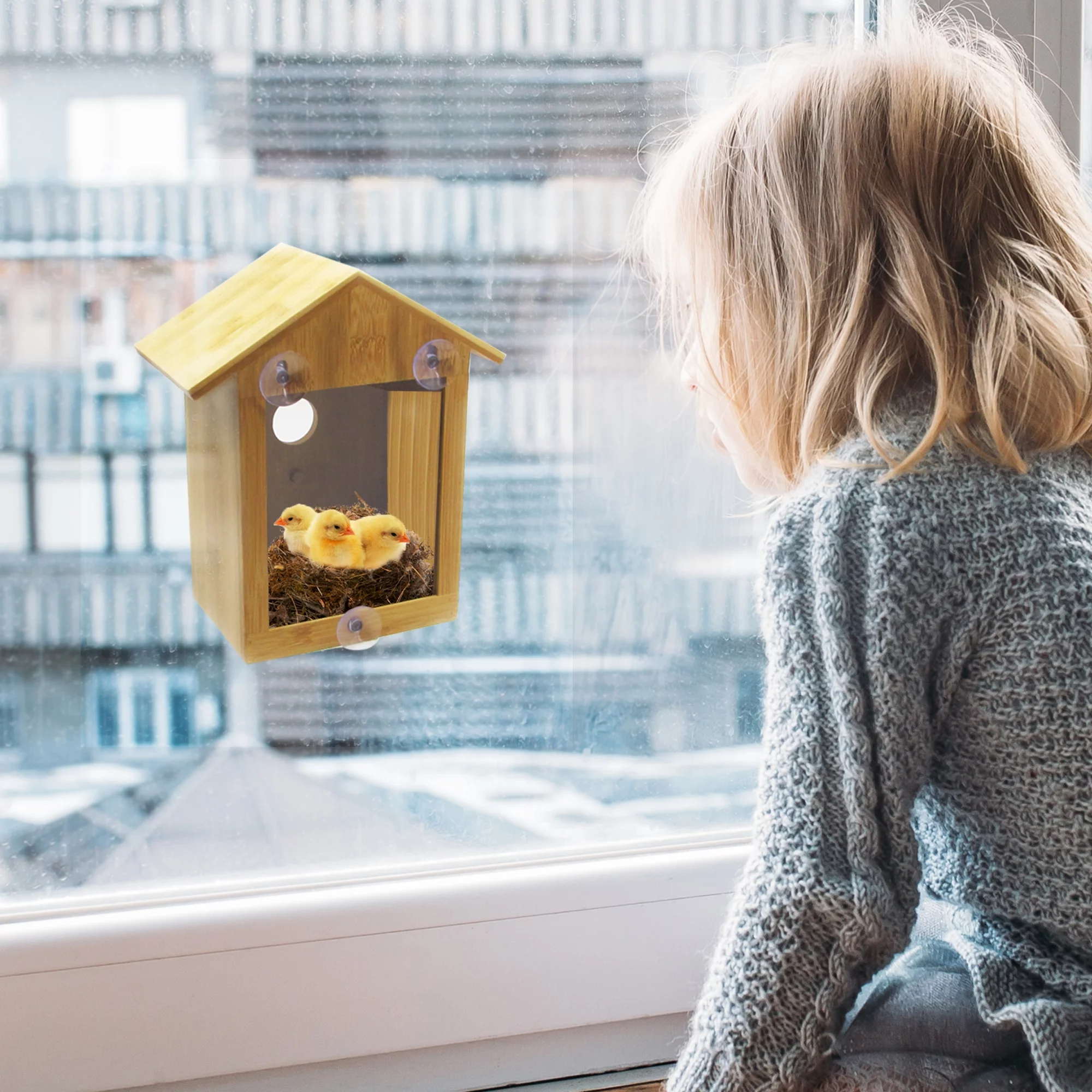Spy House Wooden See Through Two Way Mirrored Bird House - Suction Cup Window Mounted Bird Nesting Box