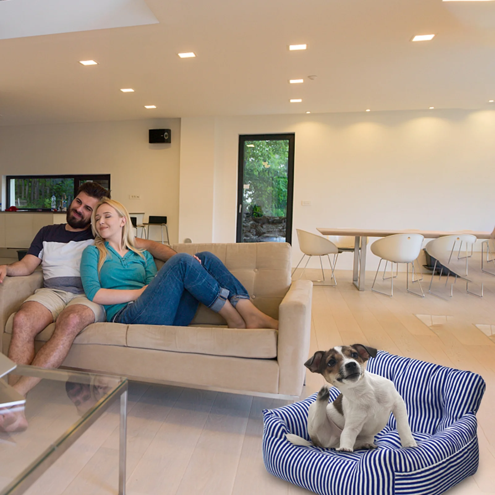 OWSOO Car Seat Dog Bed Multifunctional Design Pet Sofa for Cars Home and All Seasons - Sturdy Safety Belt Comfortable Material Storage Bags - Targeting Pet Owners