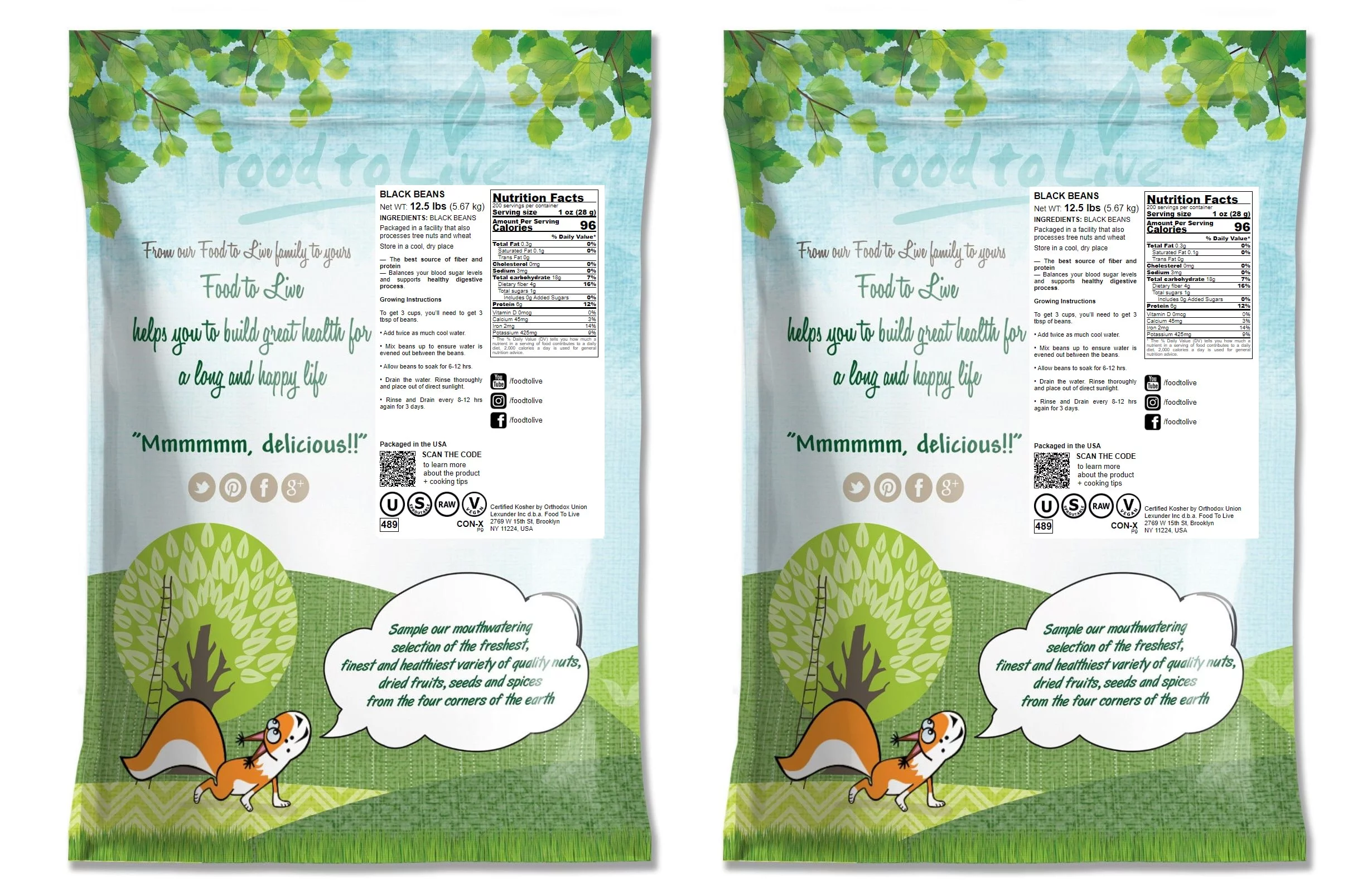 Black Turtle Beans, 25 Pounds — Sproutable, Kosher, Raw, Vegan — by Food to Live