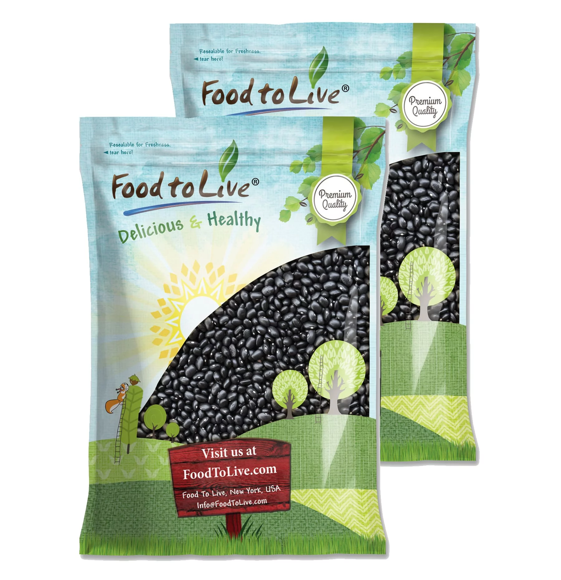 Black Turtle Beans, 25 Pounds — Sproutable, Kosher, Raw, Vegan — by Food to Live