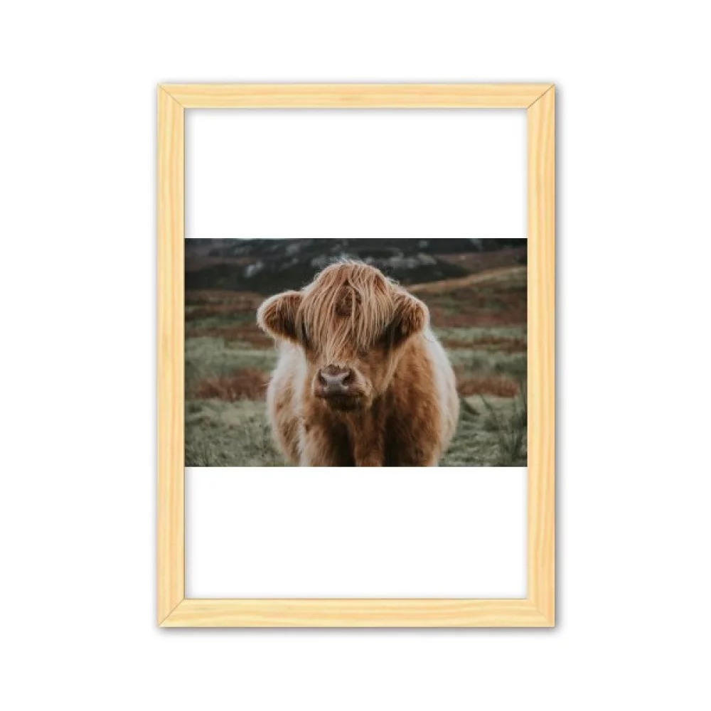 m Animal Buffalo Decorative Wooden Painting Home Decoration Picture Frame A4