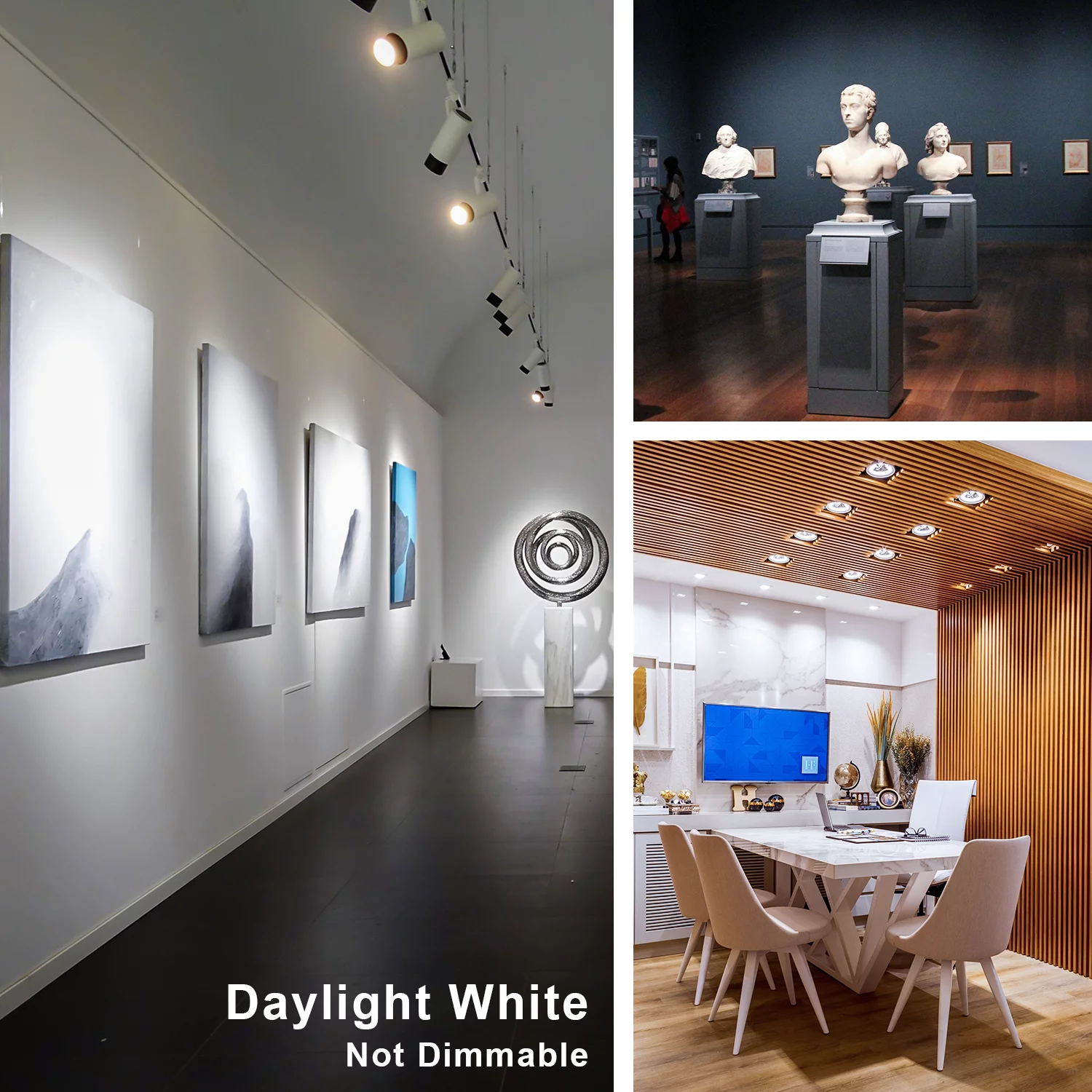 EtroLighting [12 Pack] LED GU10 Based 120V 4W 5000K Daylight Replacement Light Bulb 120V 4W, WMT1777